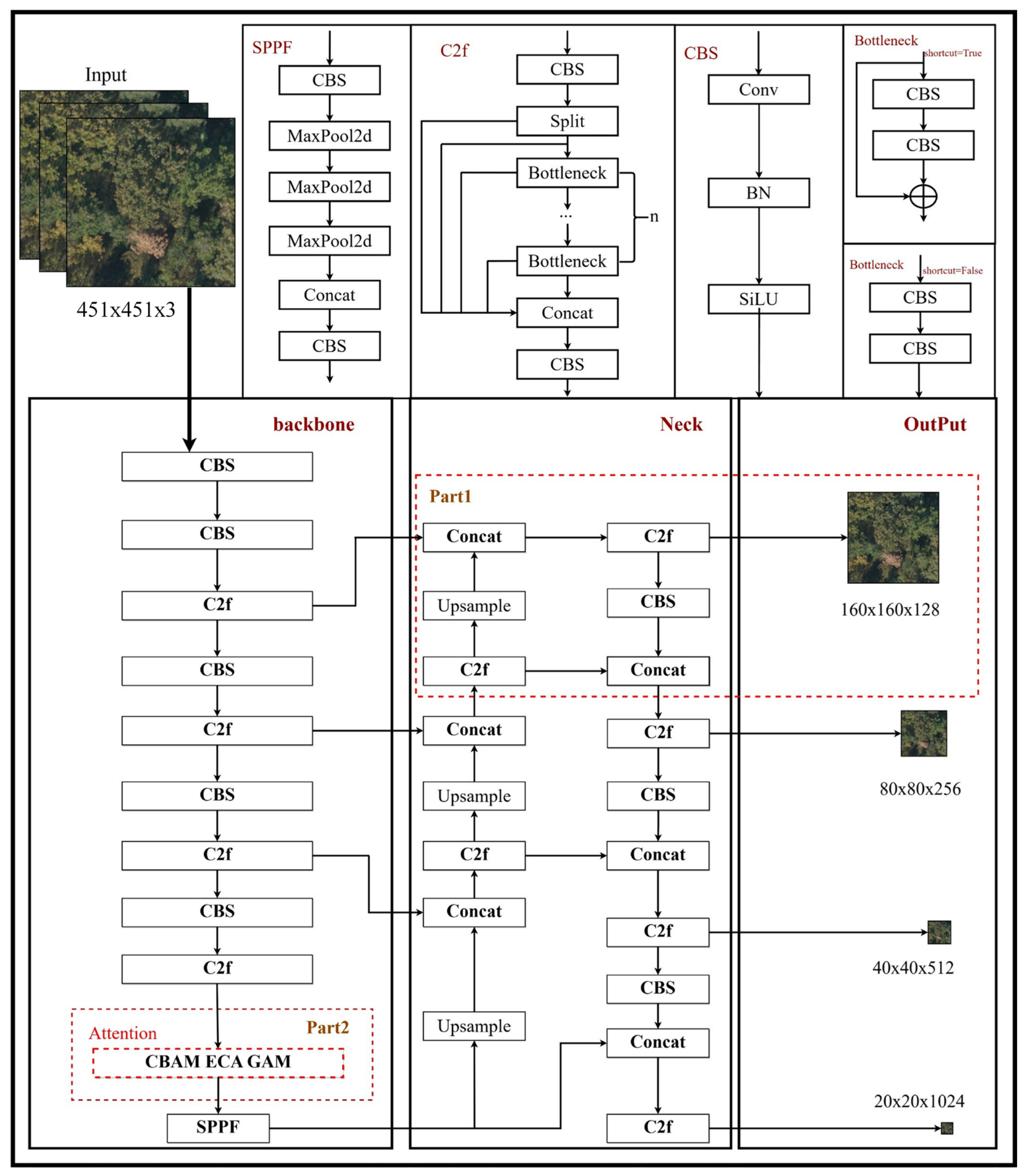 Forests 14 02052 g004 Forests 14 02052 g004