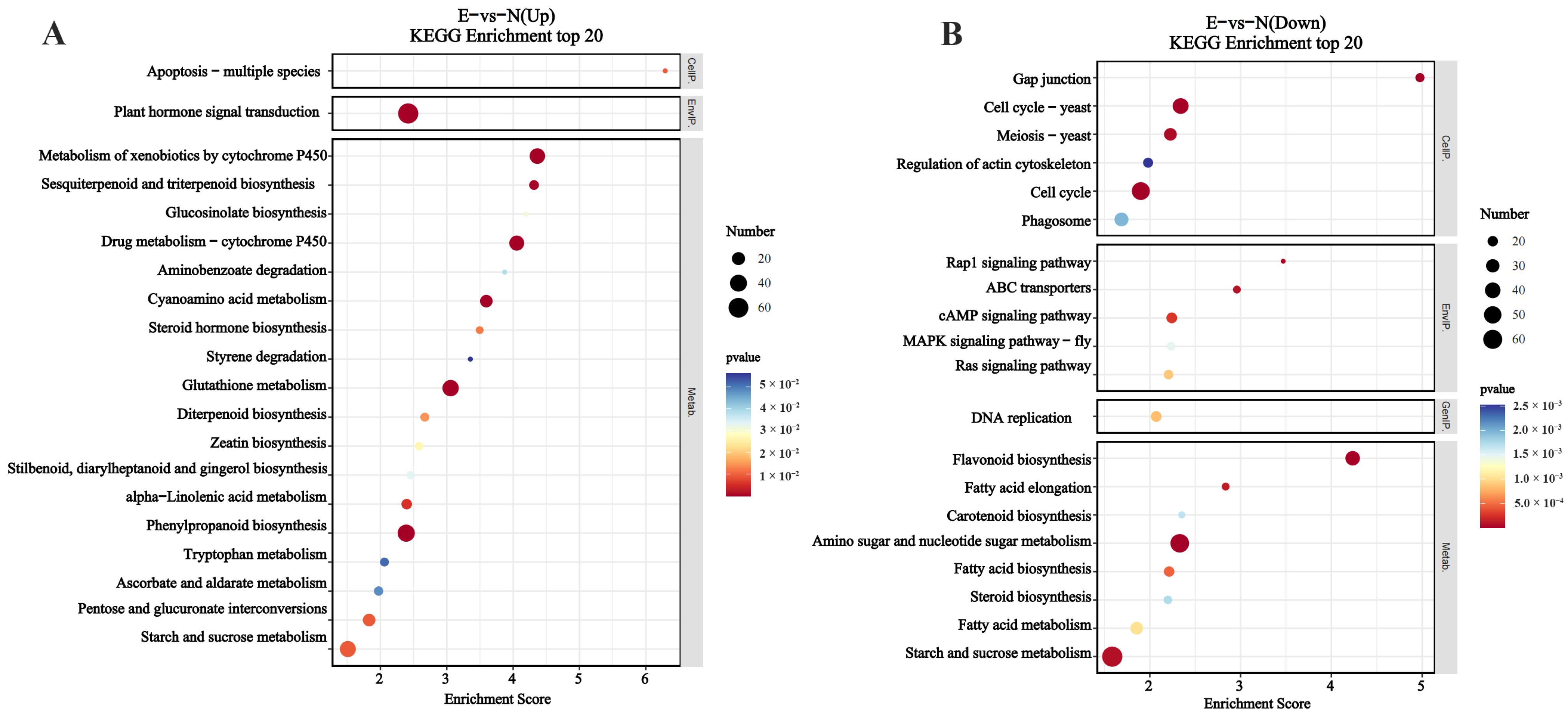 Forests 14 02059 g005