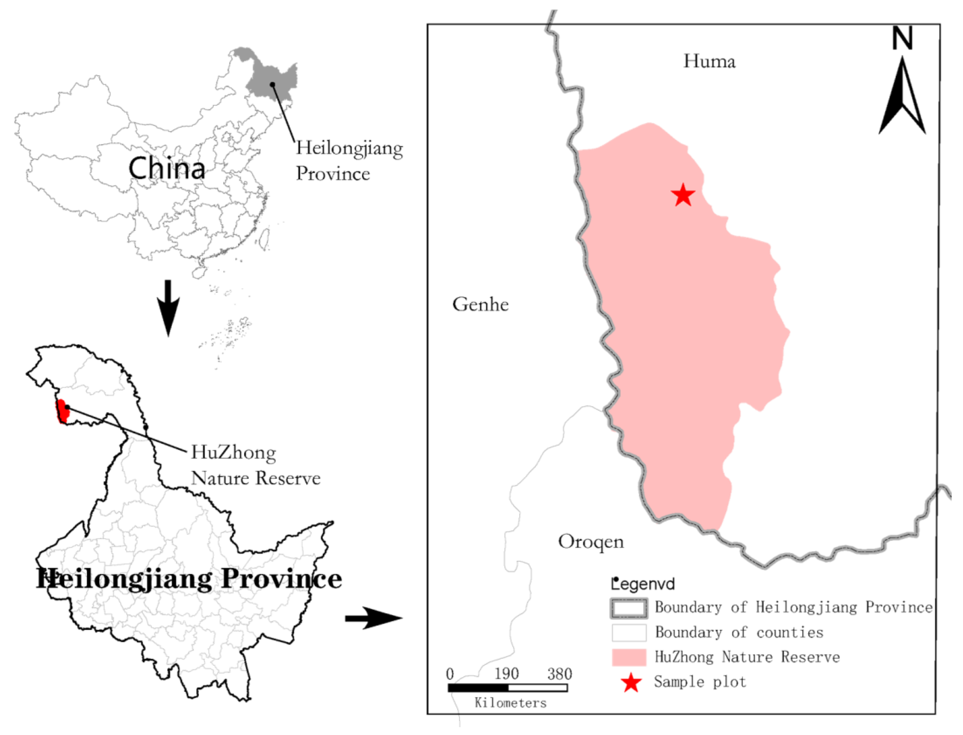 Forests 14 02063 g001