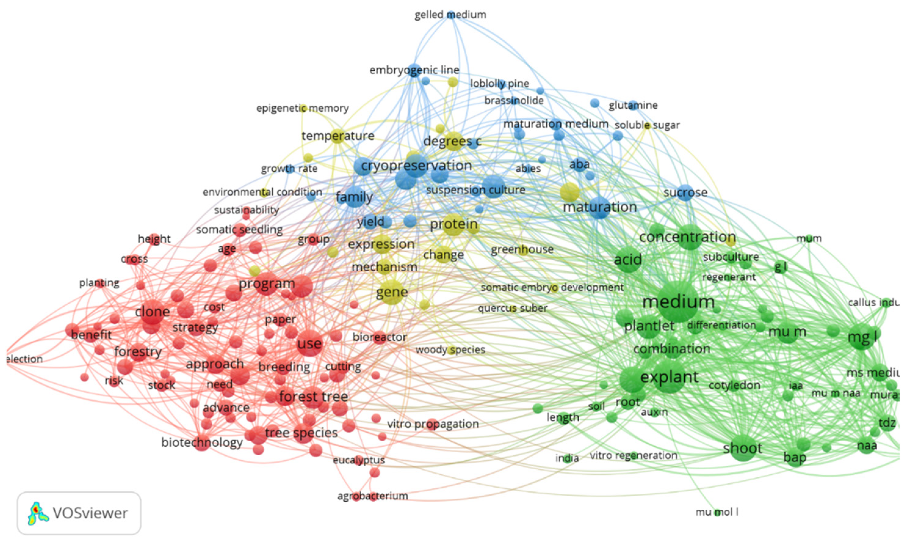 Forests 14 02066 g004 Forests 14 02066 g004