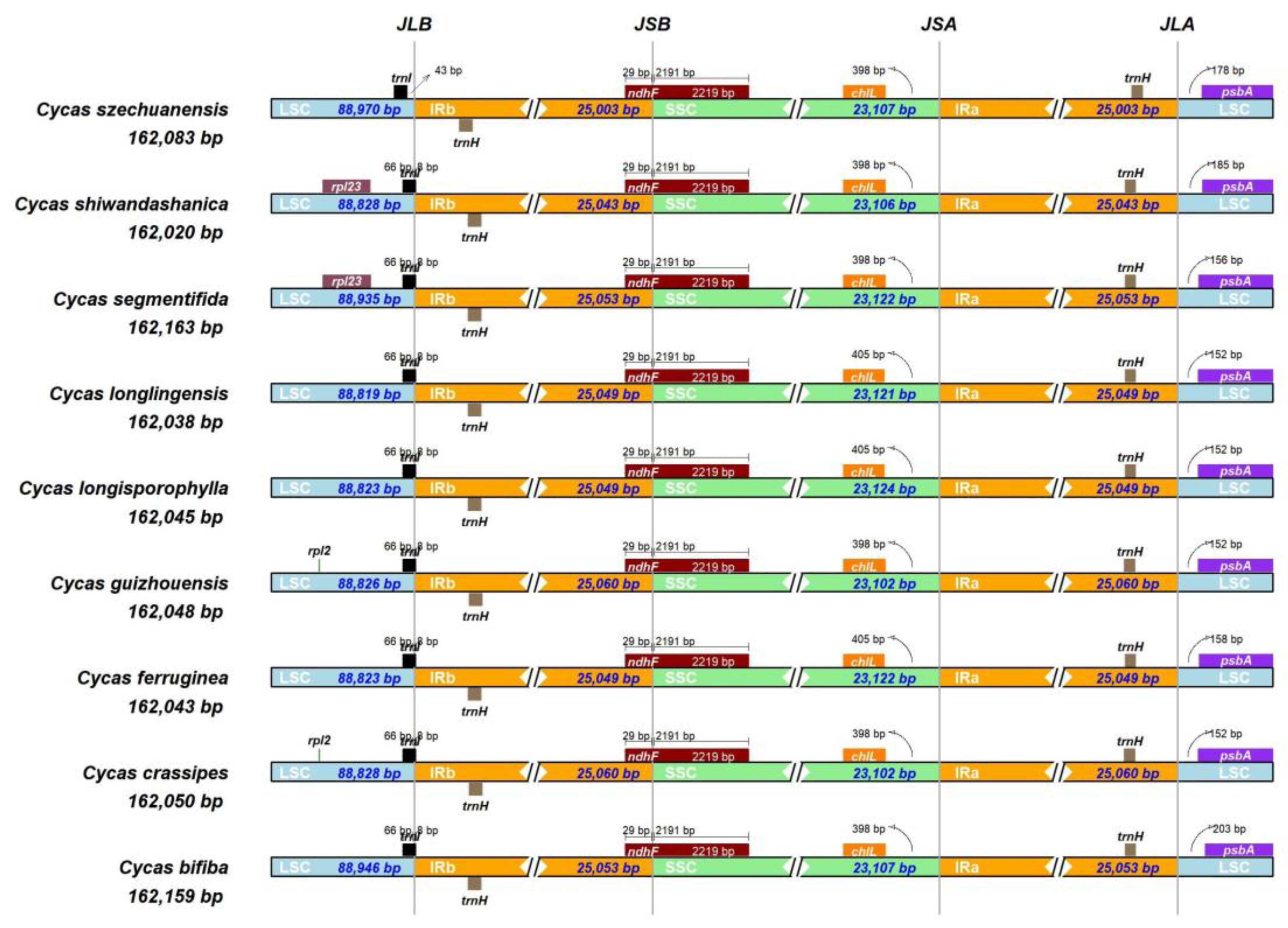 Forests 14 02069 g002