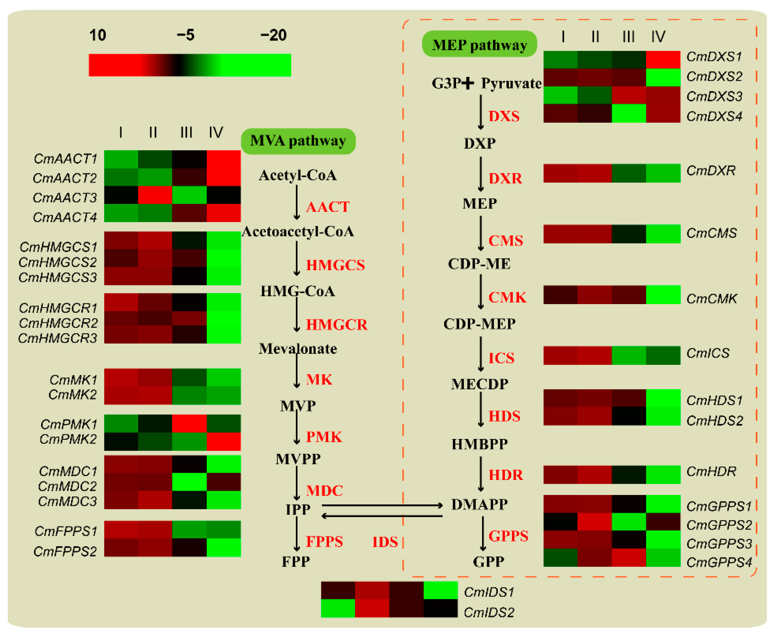Forests 14 02075 g012