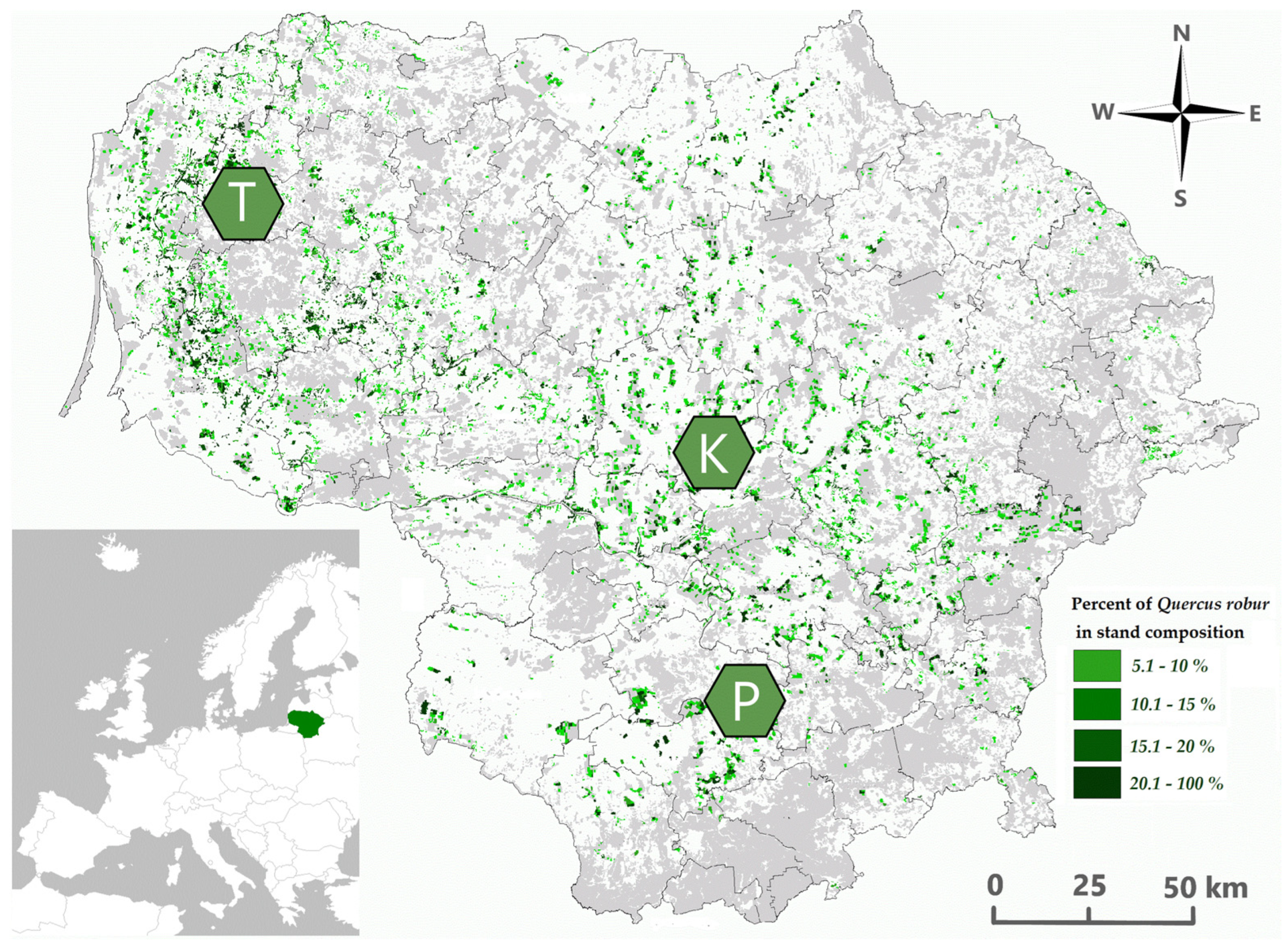 Forests 14 02077 g002 Forests 14 02077 g002