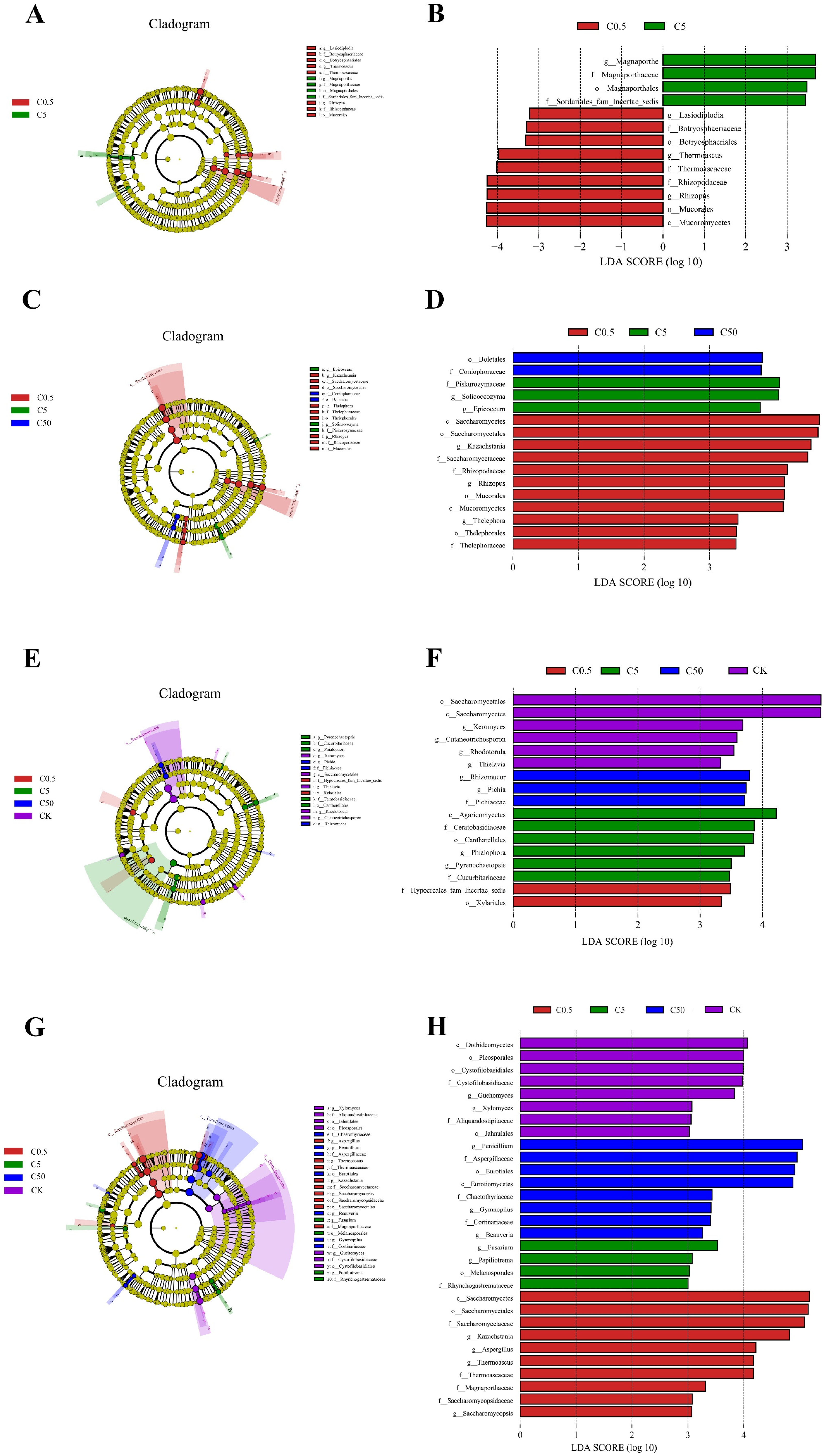 Forests 14 02088 g004