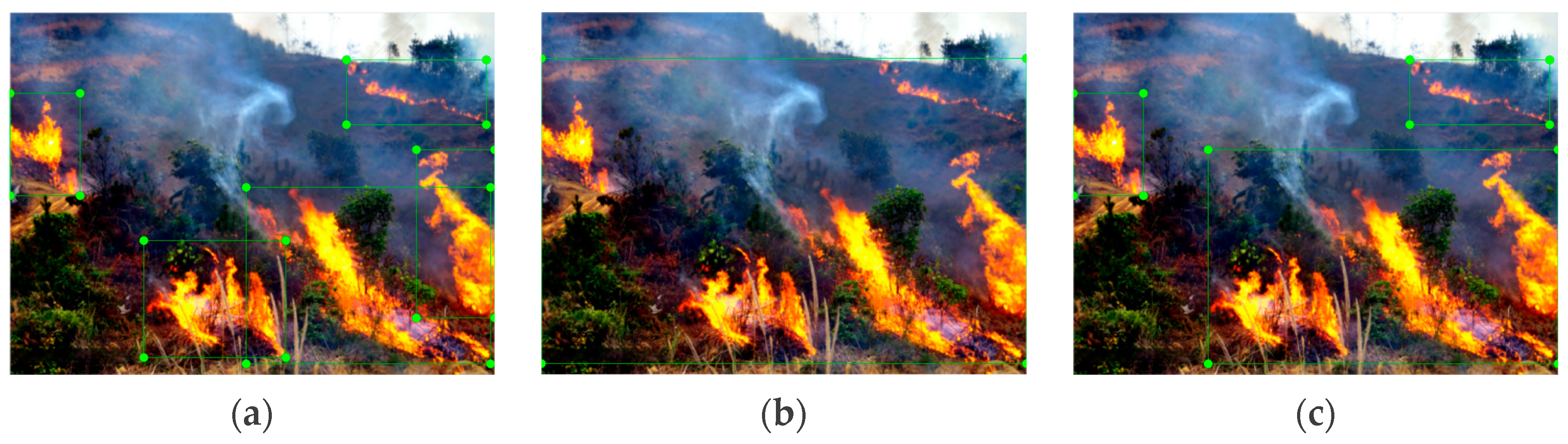 Forests 14 02089 g002