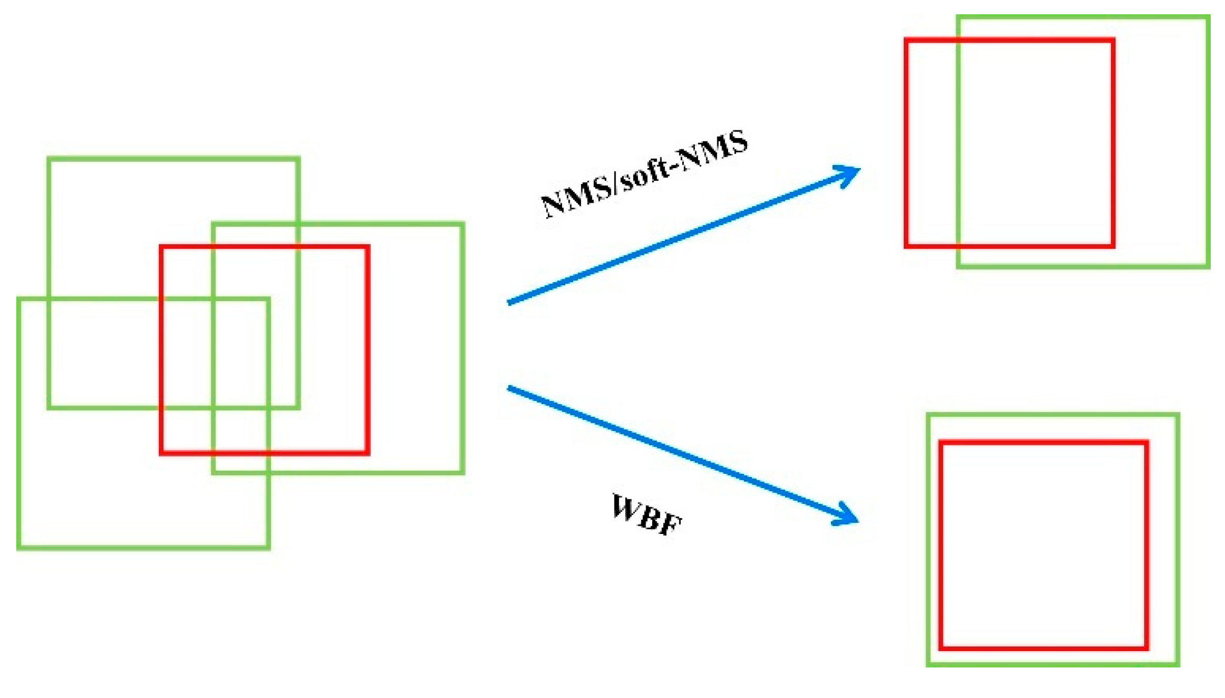 Forests 14 02089 g012