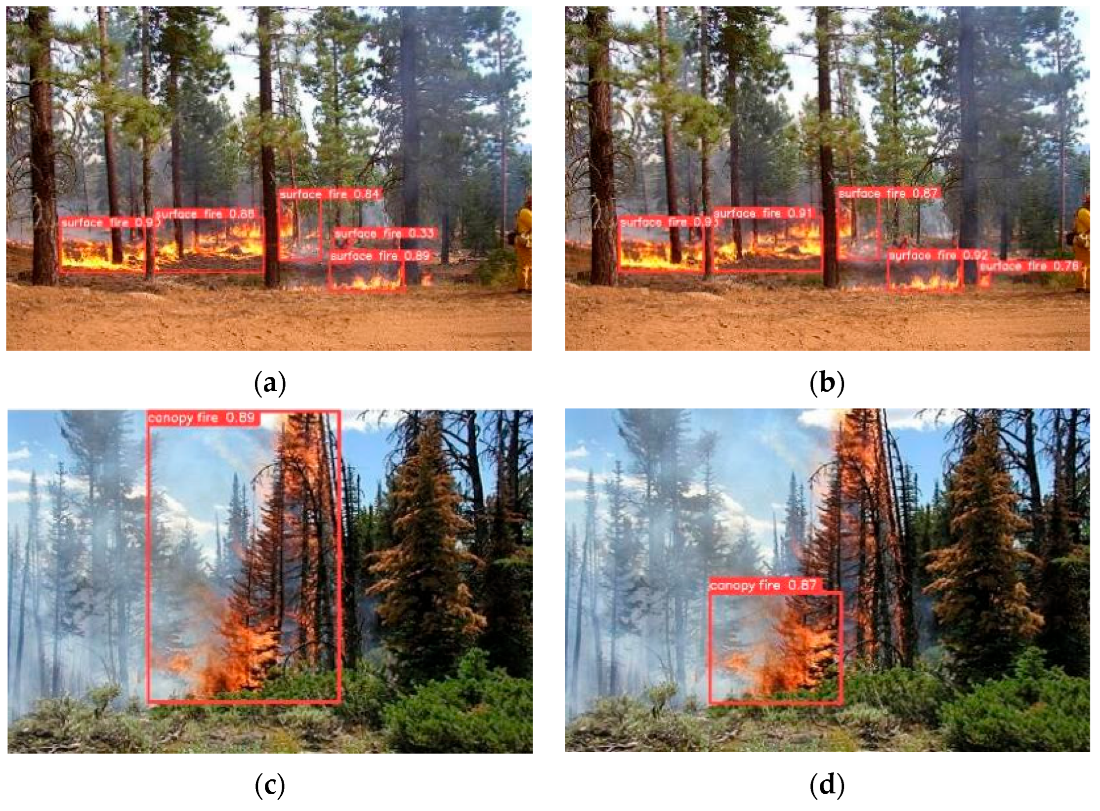 Forests 14 02089 g013