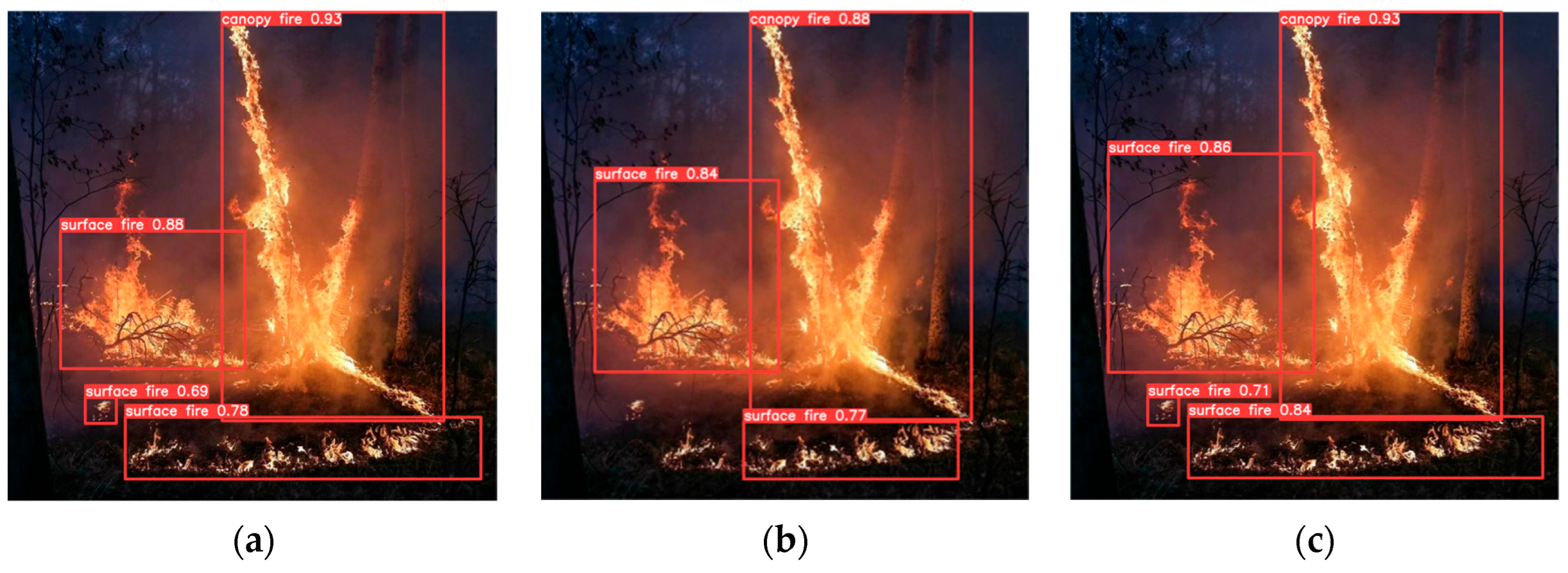 Forests 14 02089 g014