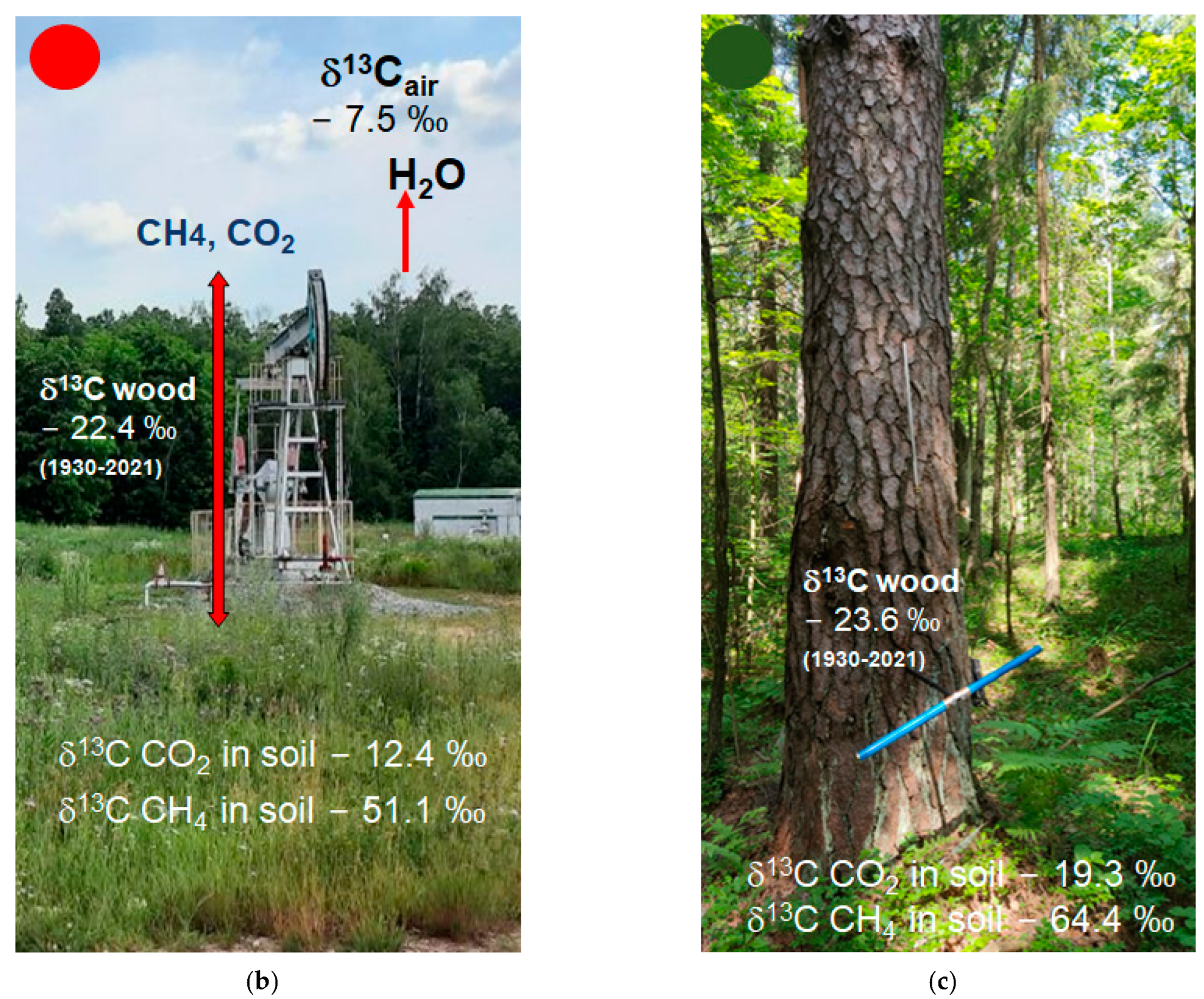 Forests 14 02093 g001b
