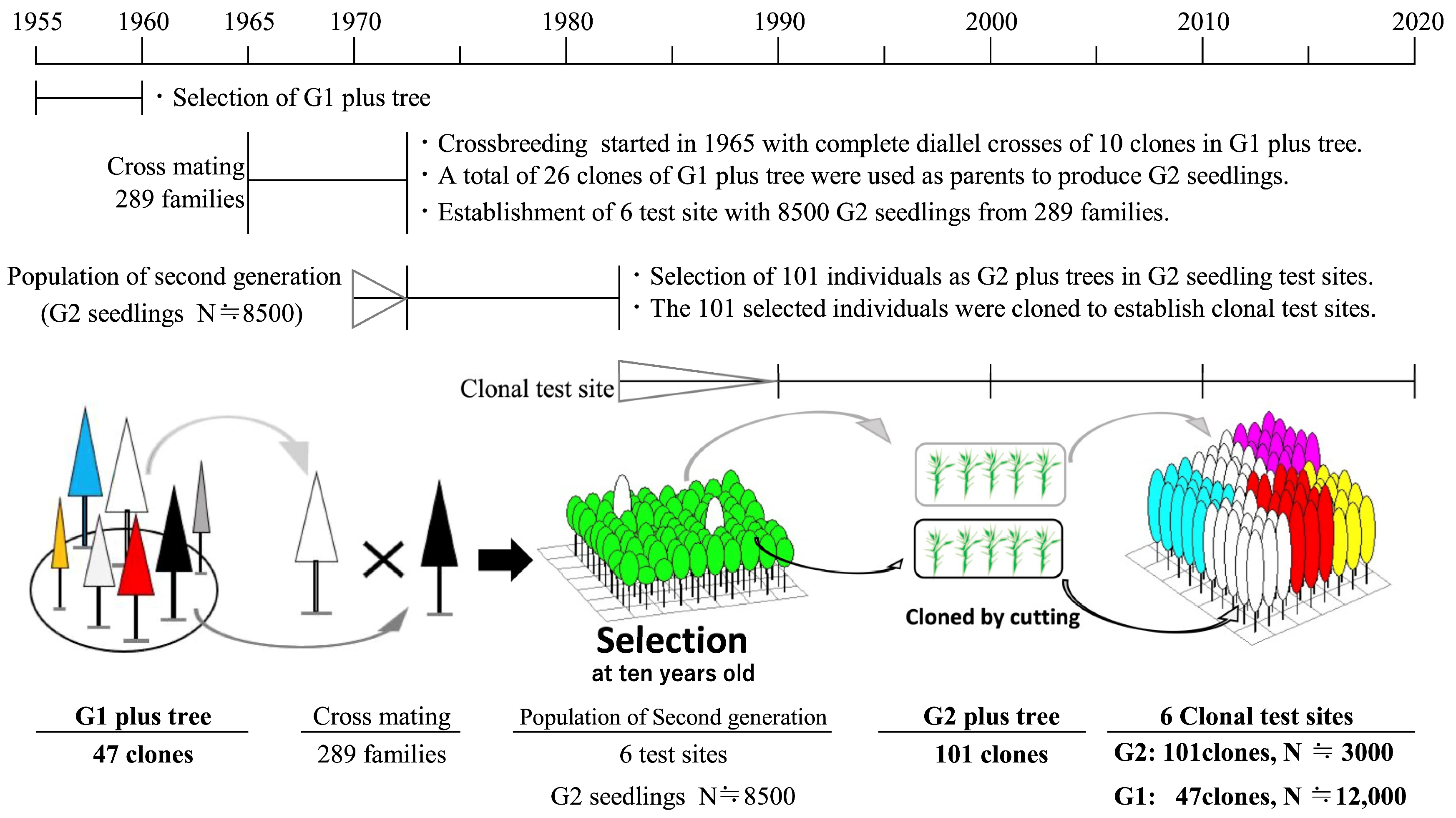Forests 14 02097 g001 Forests 14 02097 g001