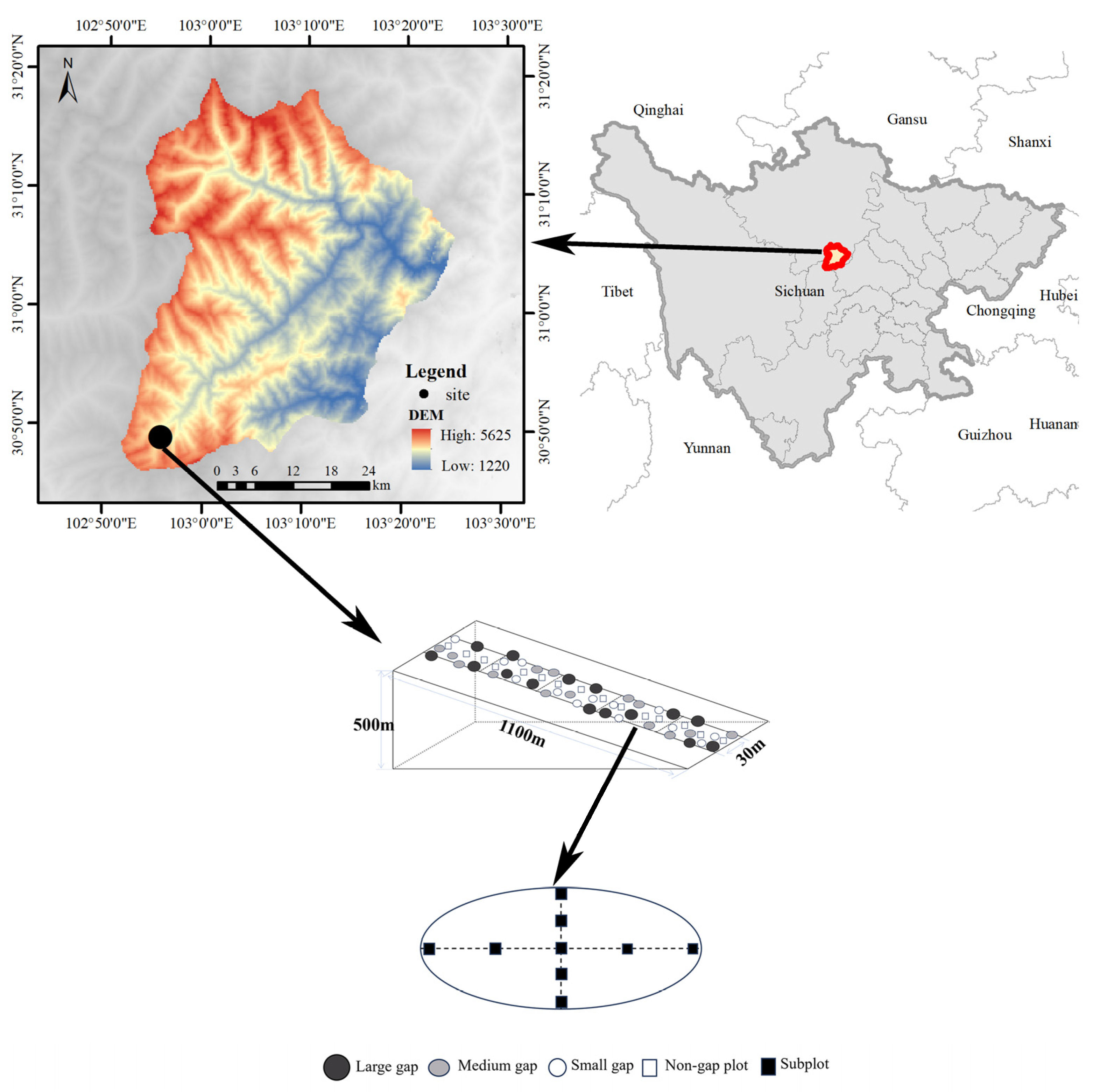 Forests 14 02099 g001