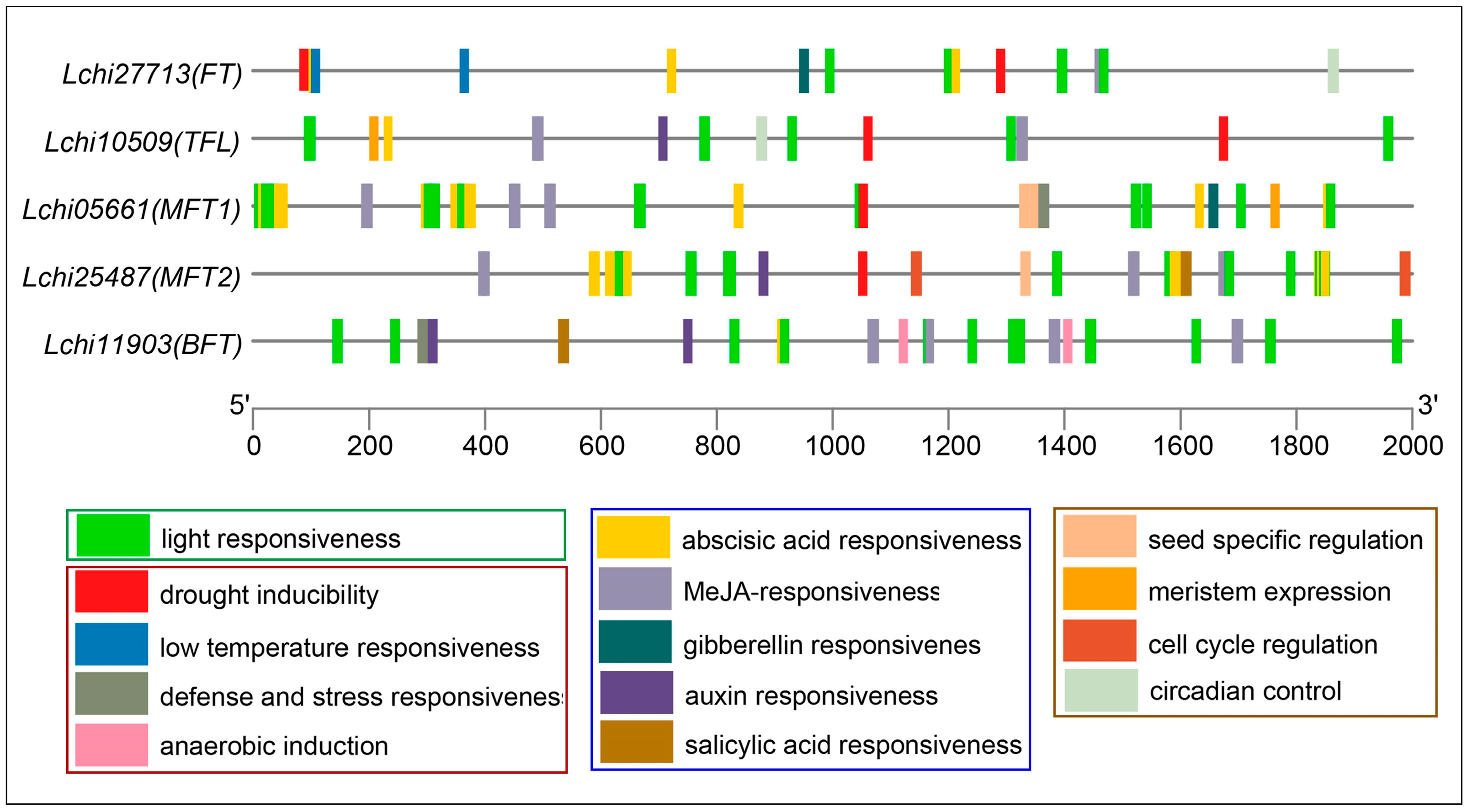 Forests 14 02103 g002