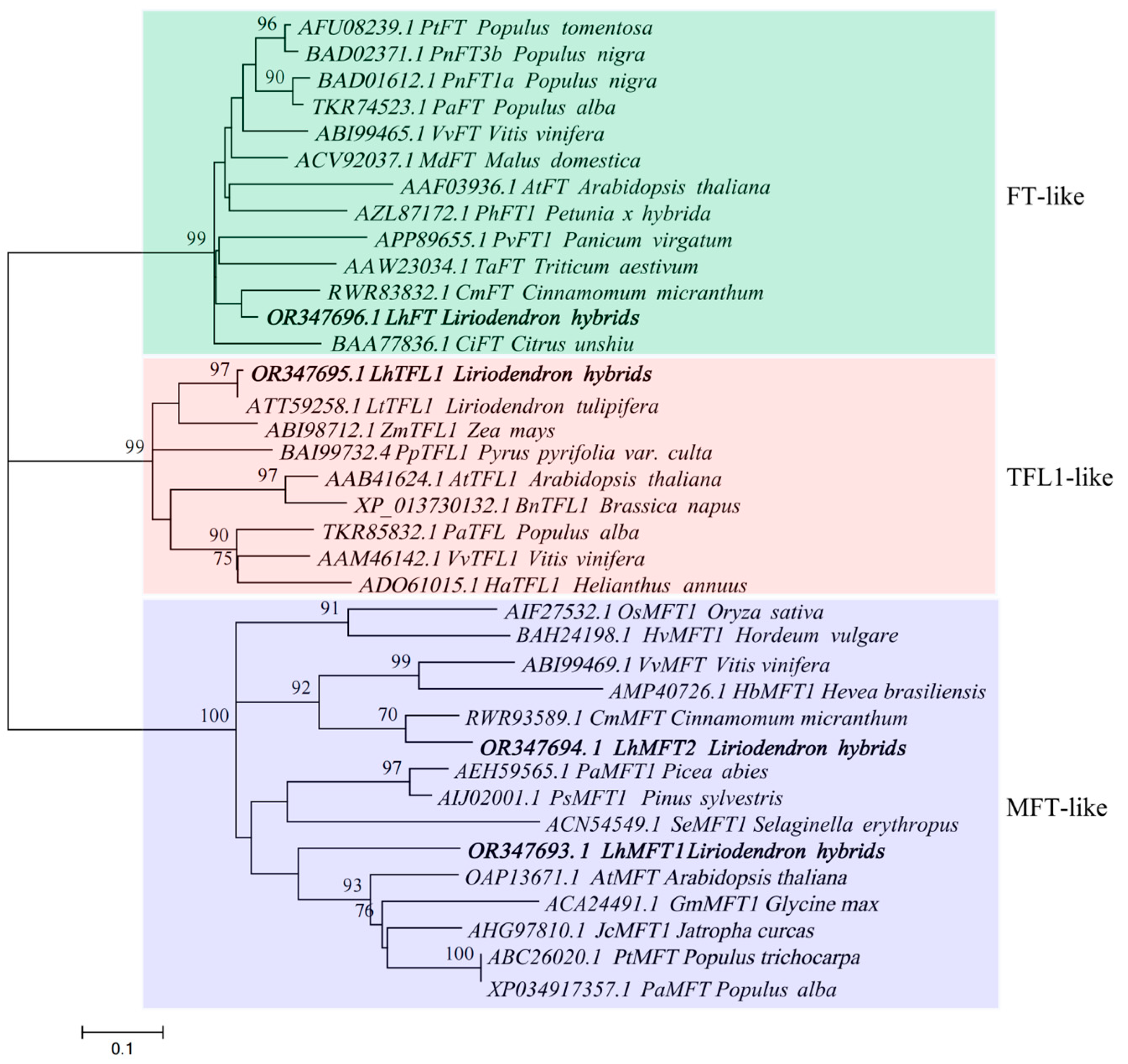 Forests 14 02103 g003