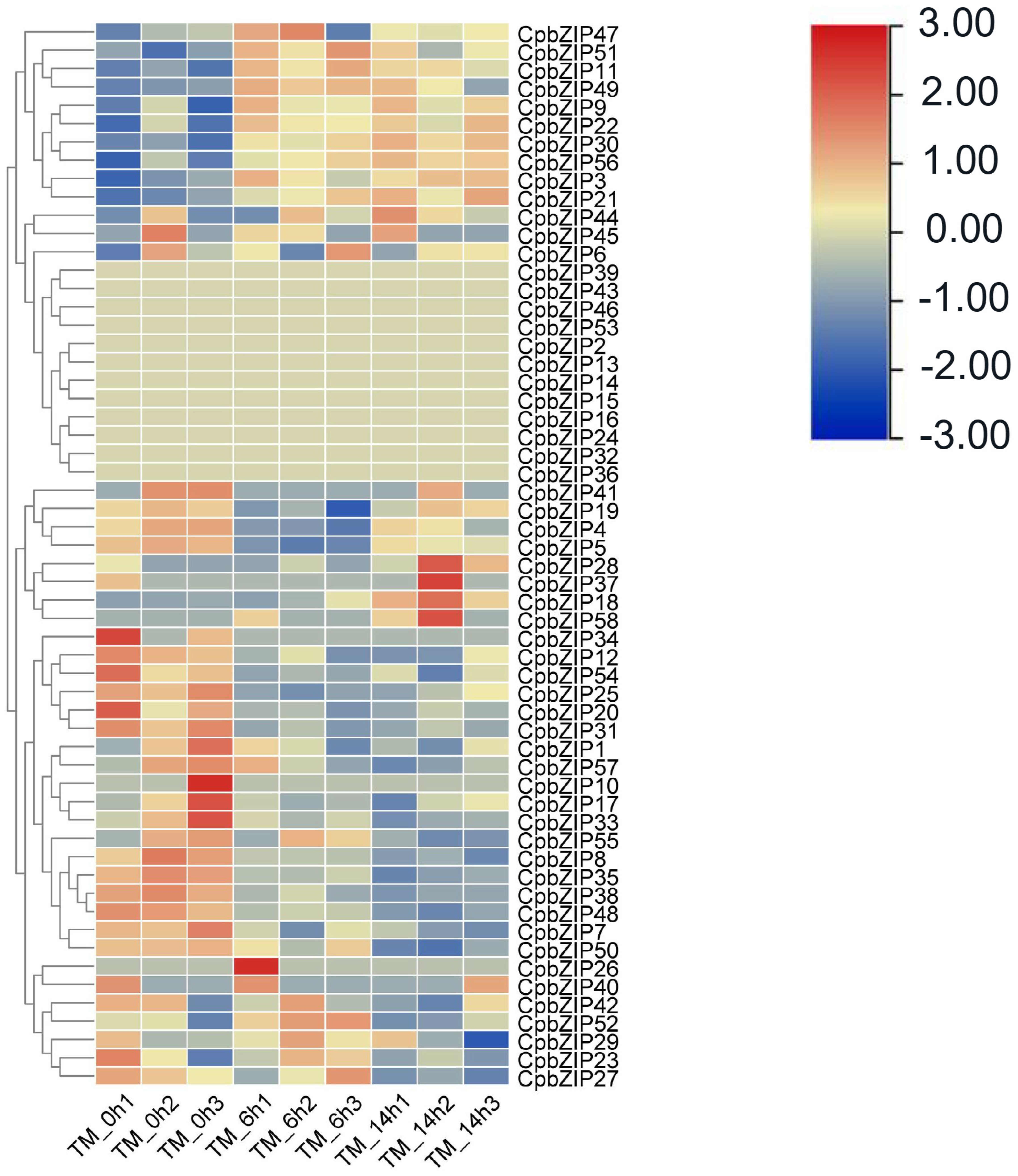 Forests 14 02104 g001