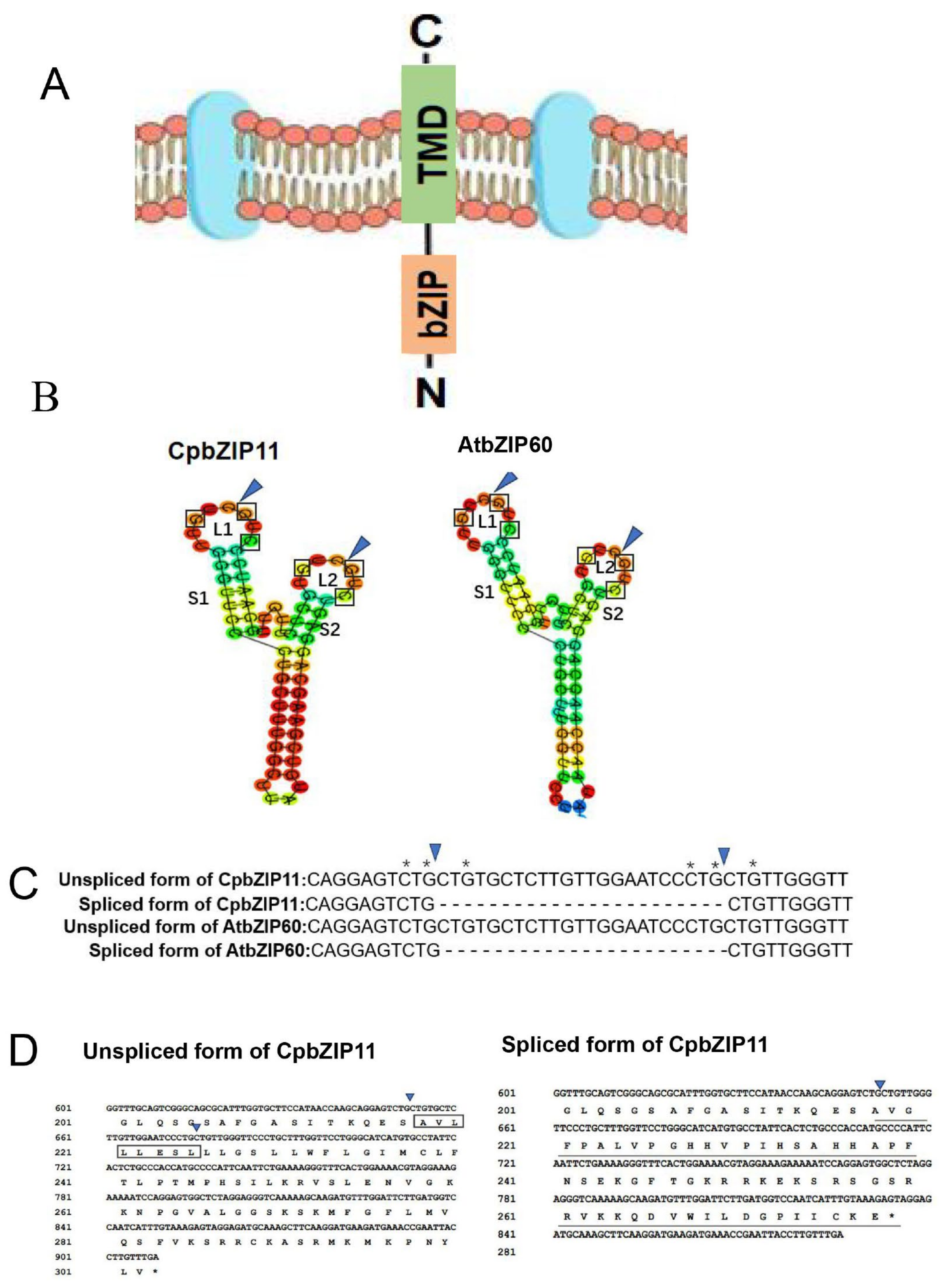 Forests 14 02104 g002