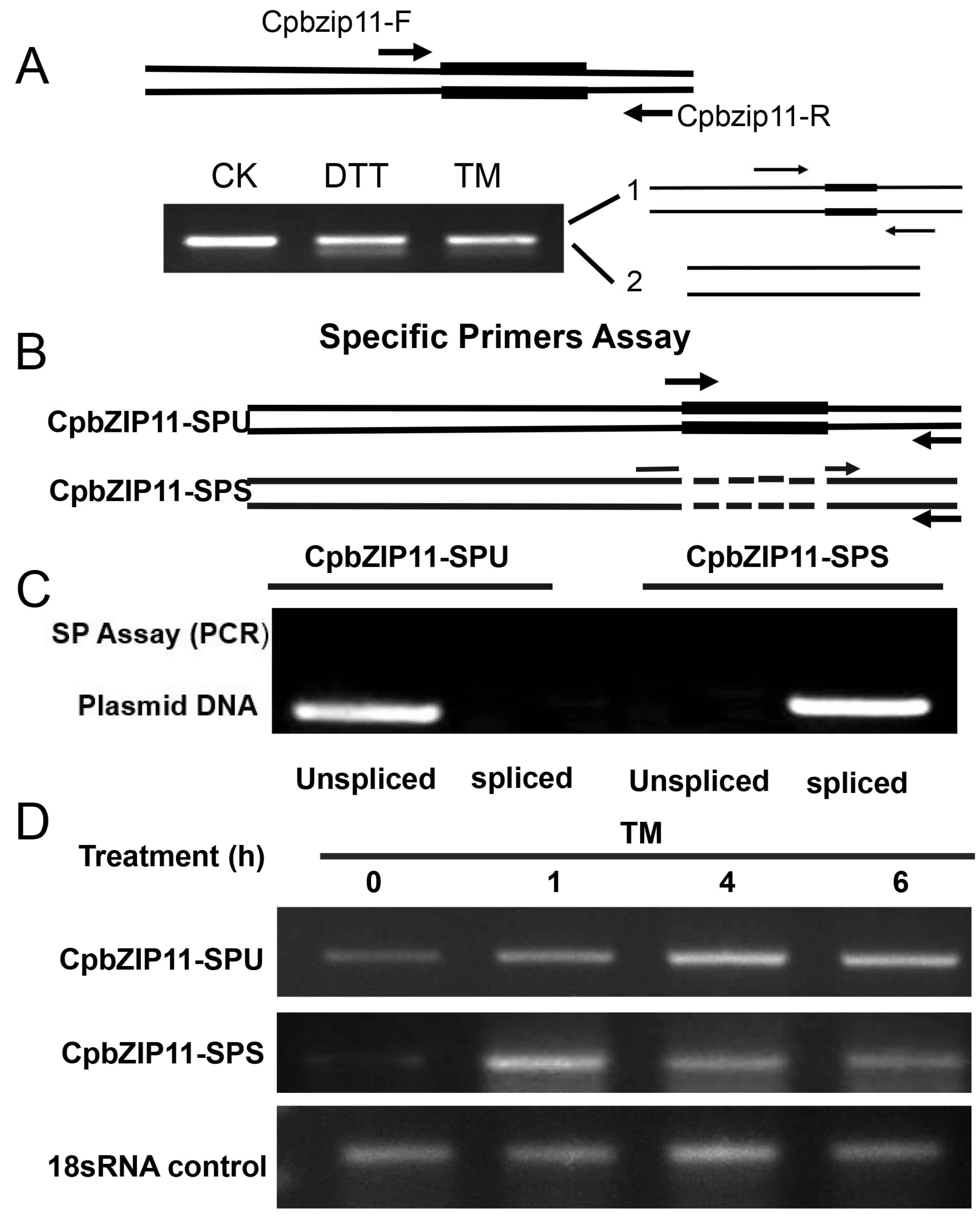 Forests 14 02104 g003