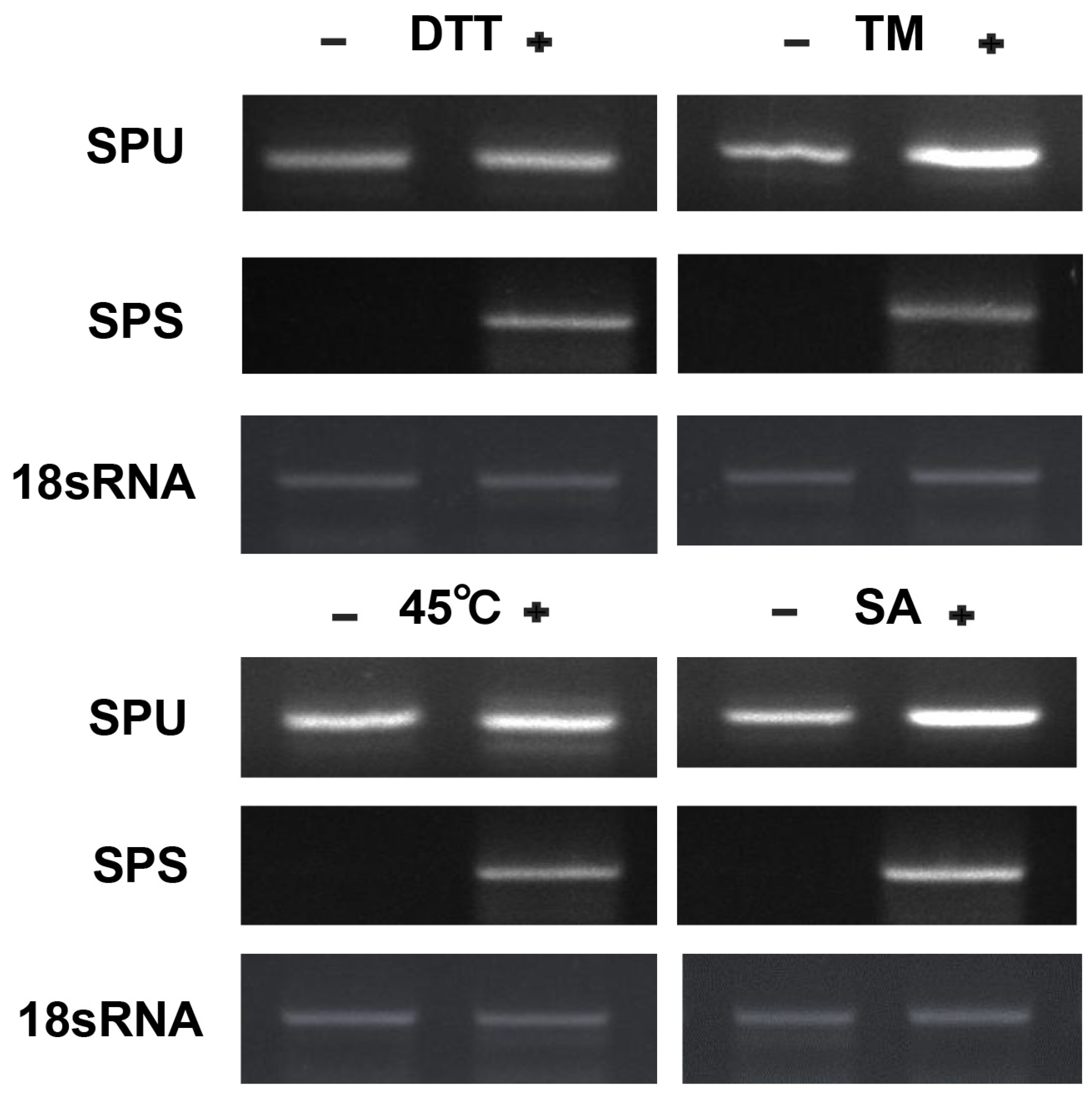 Forests 14 02104 g005