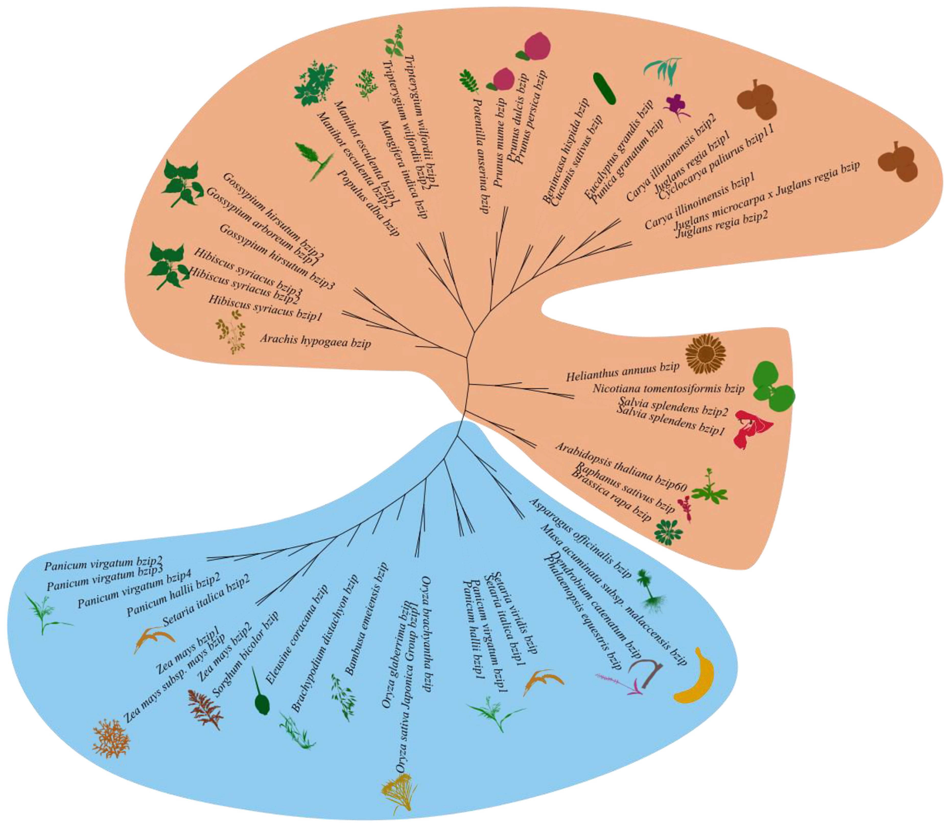 Forests 14 02104 g006
