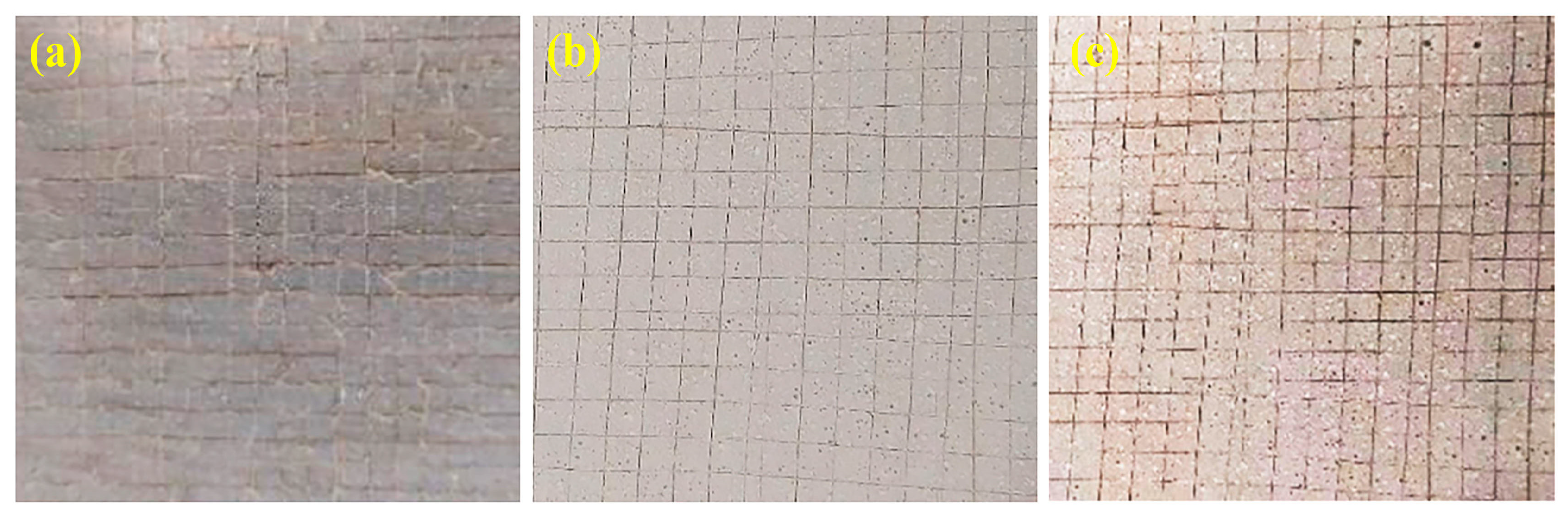 Forests 14 02105 g007