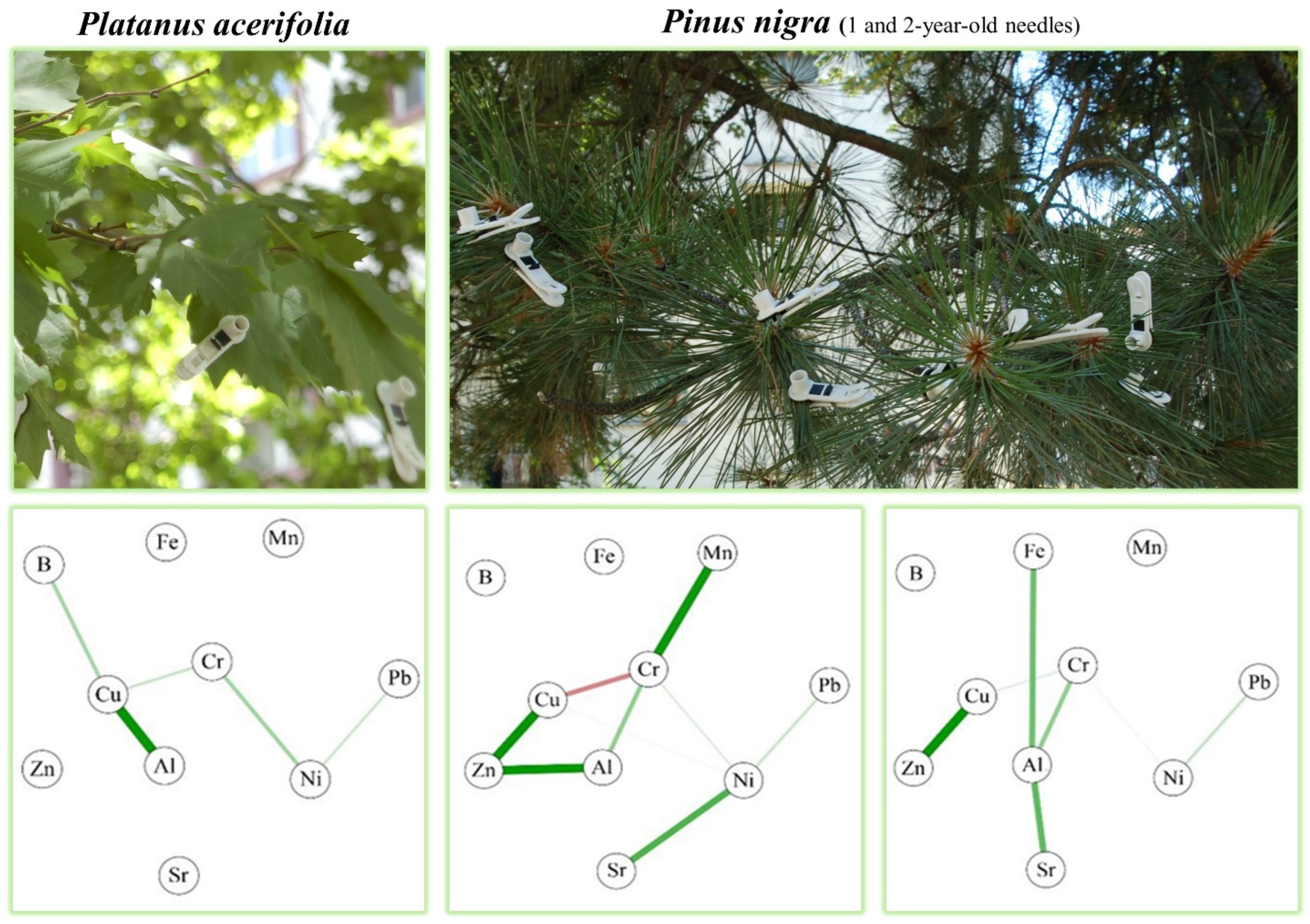 Forests 14 02116 g004