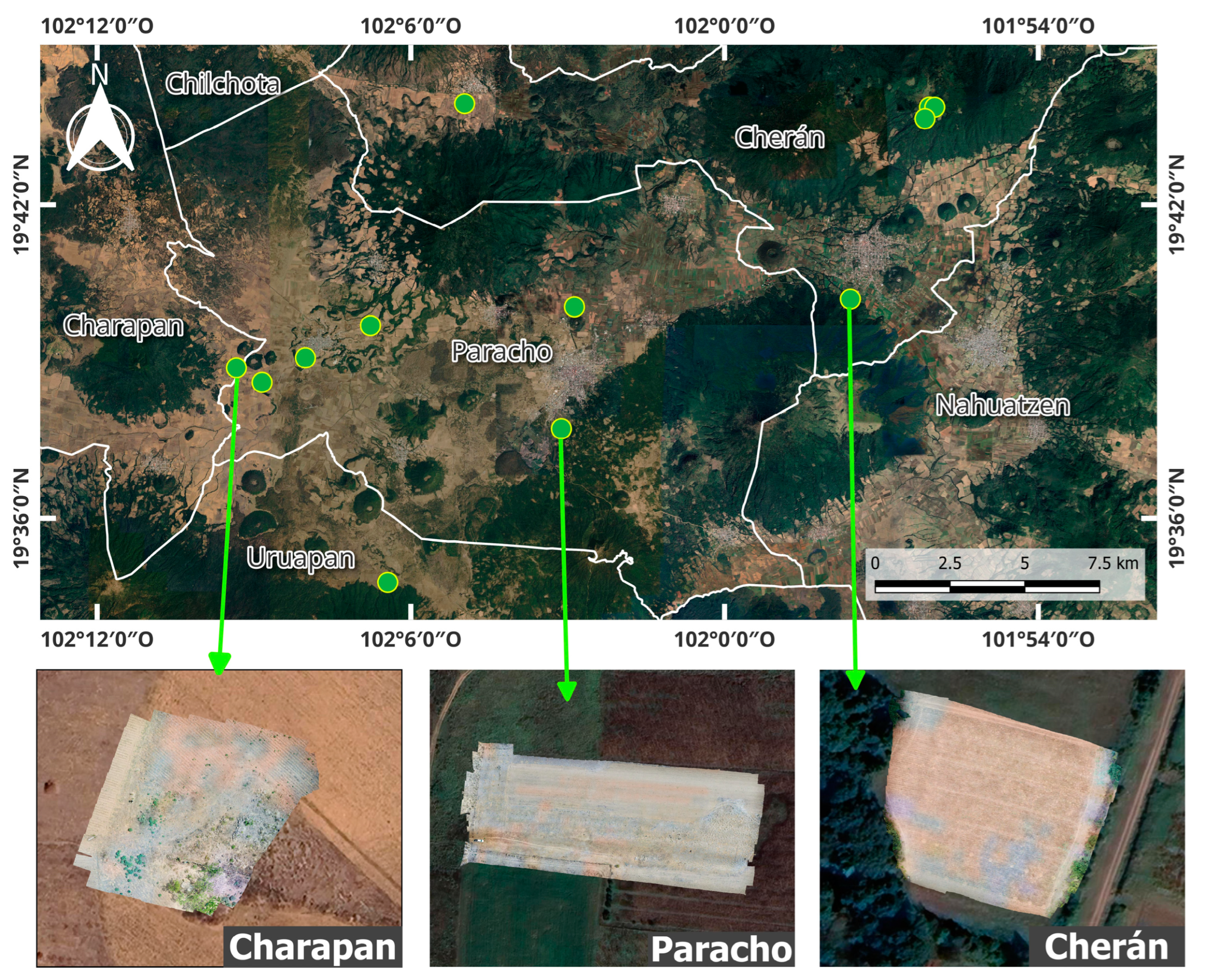 Forests 14 02117 g004 Forests 14 02117 g004