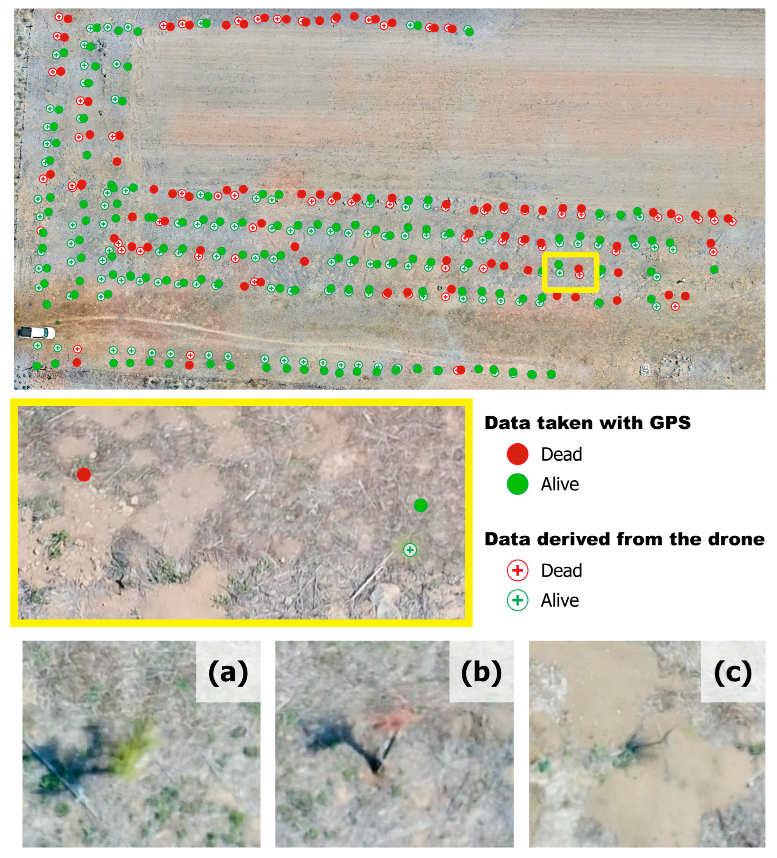 Forests 14 02117 g005 Forests 14 02117 g005