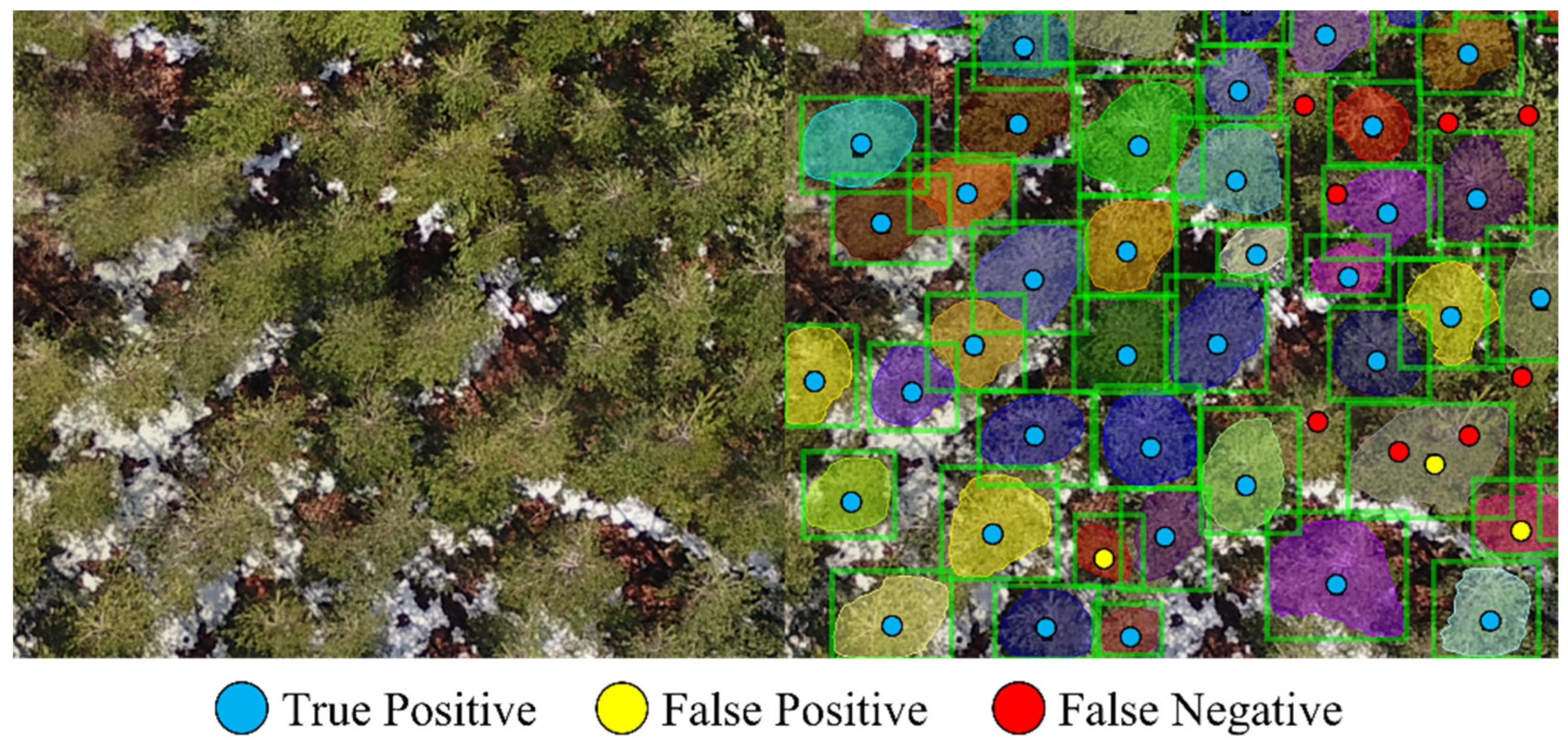 Forests 14 02126 g003