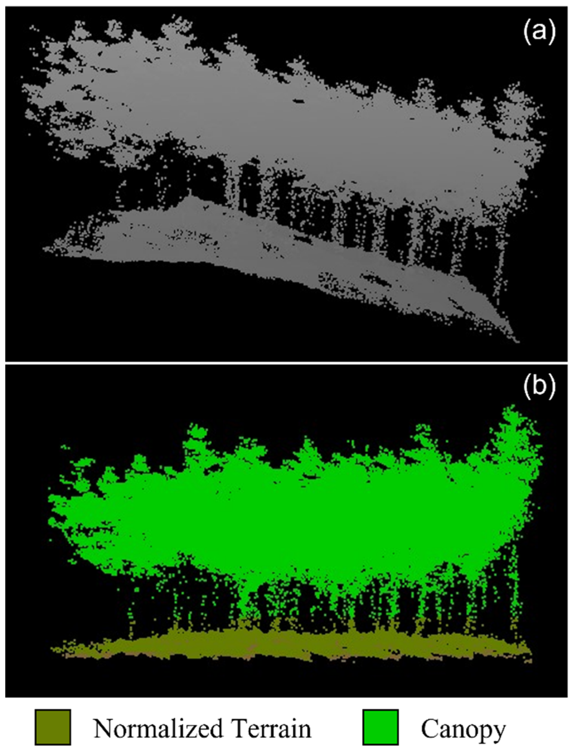 Forests 14 02126 g004