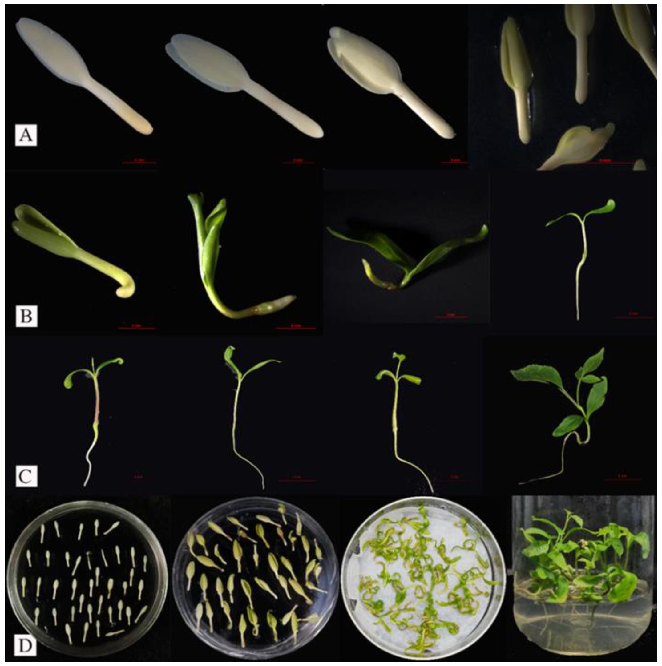 Forests 14 02128 g001