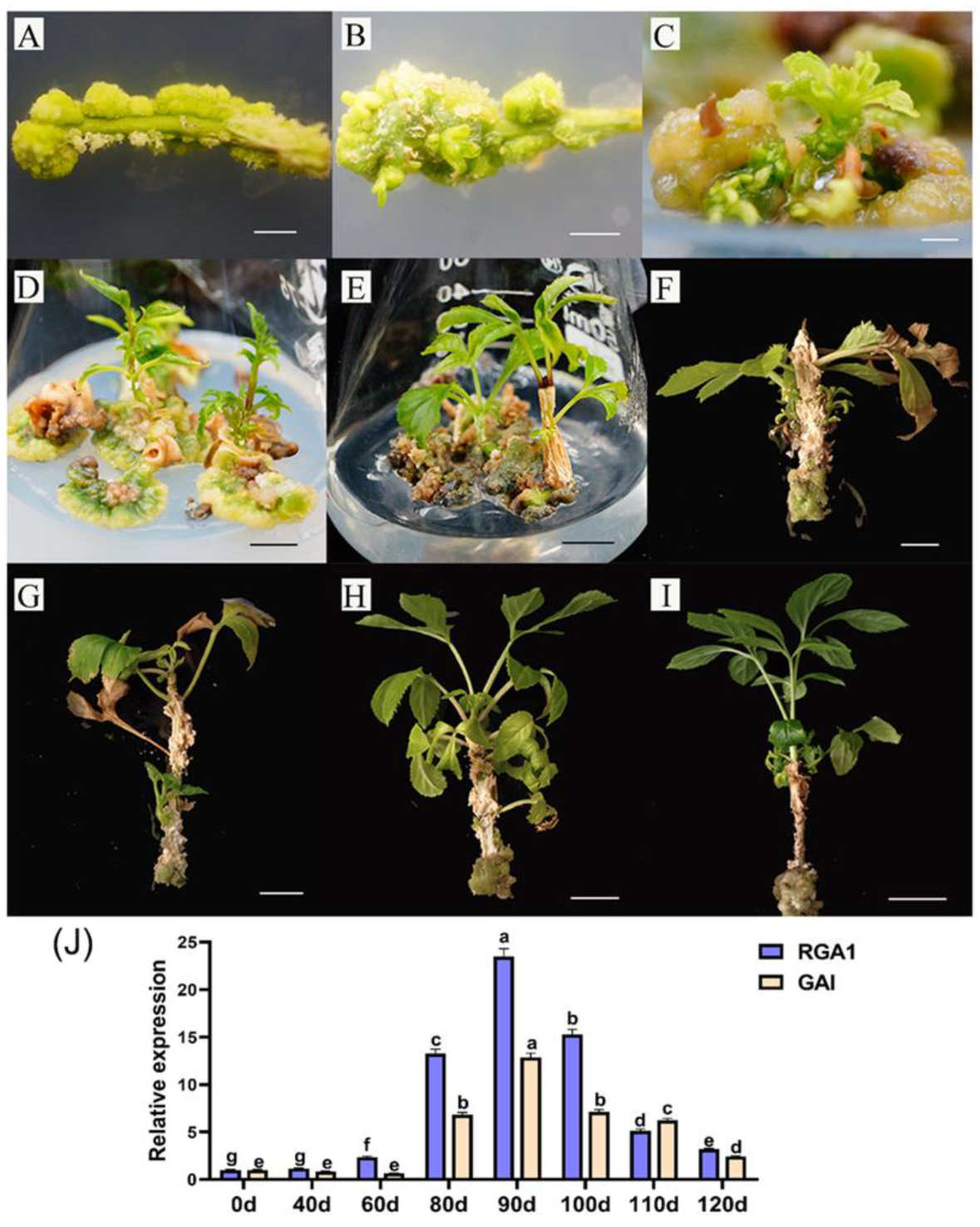 Forests 14 02128 g004