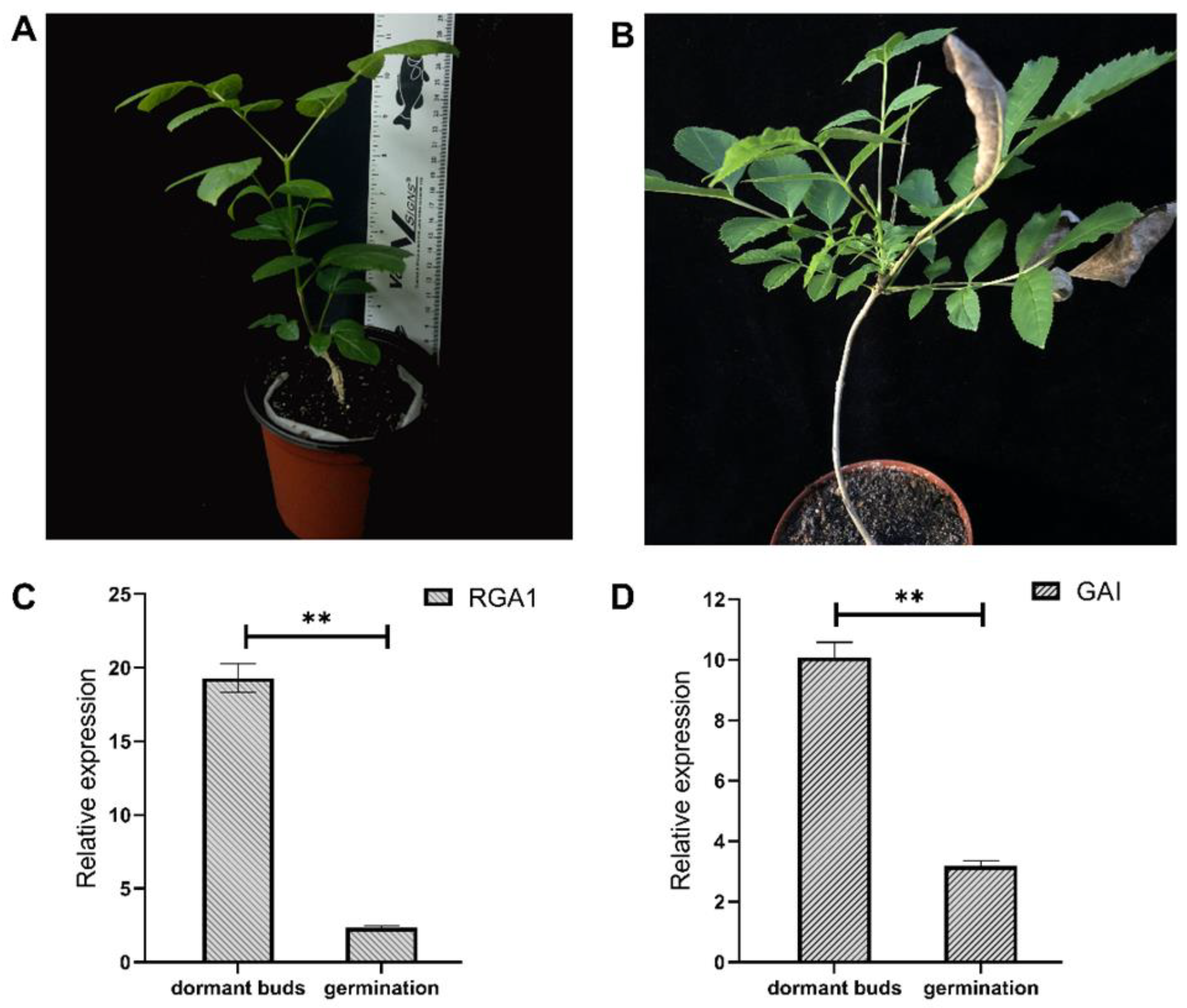 Forests 14 02128 g006