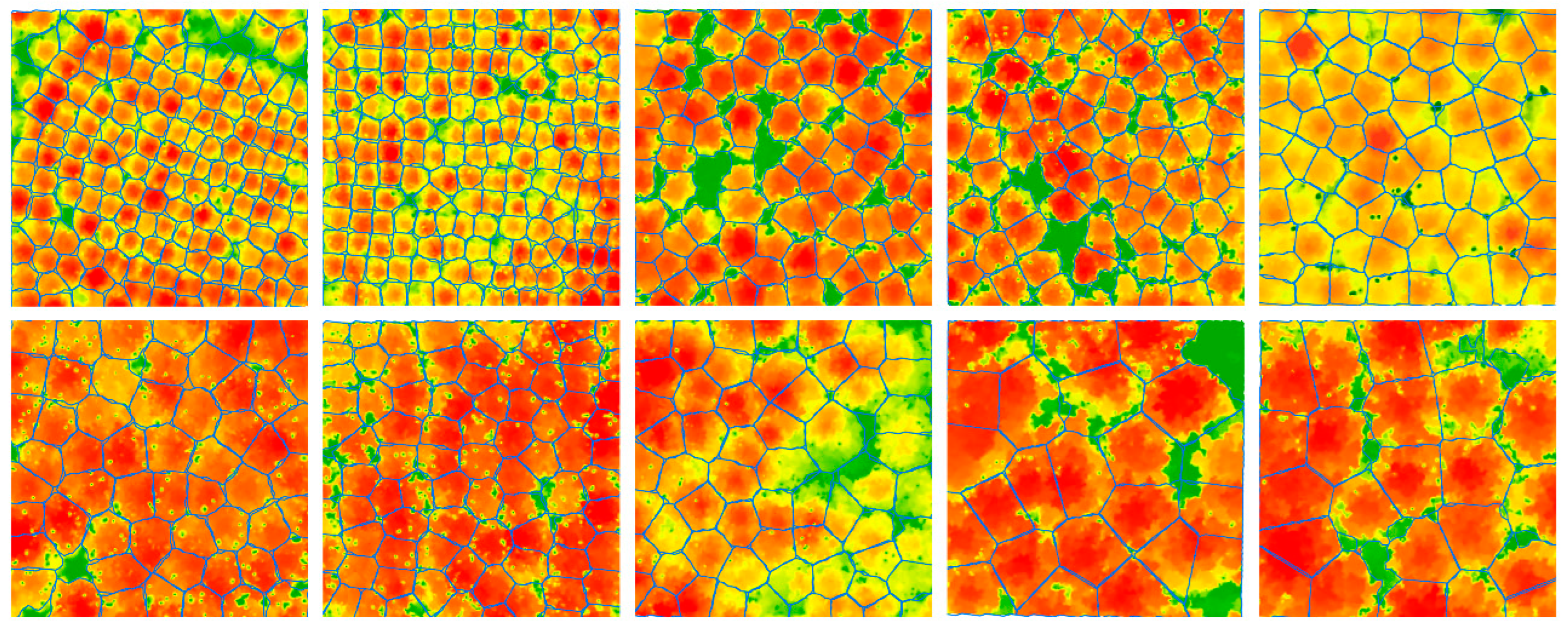 Forests 14 02130 g007