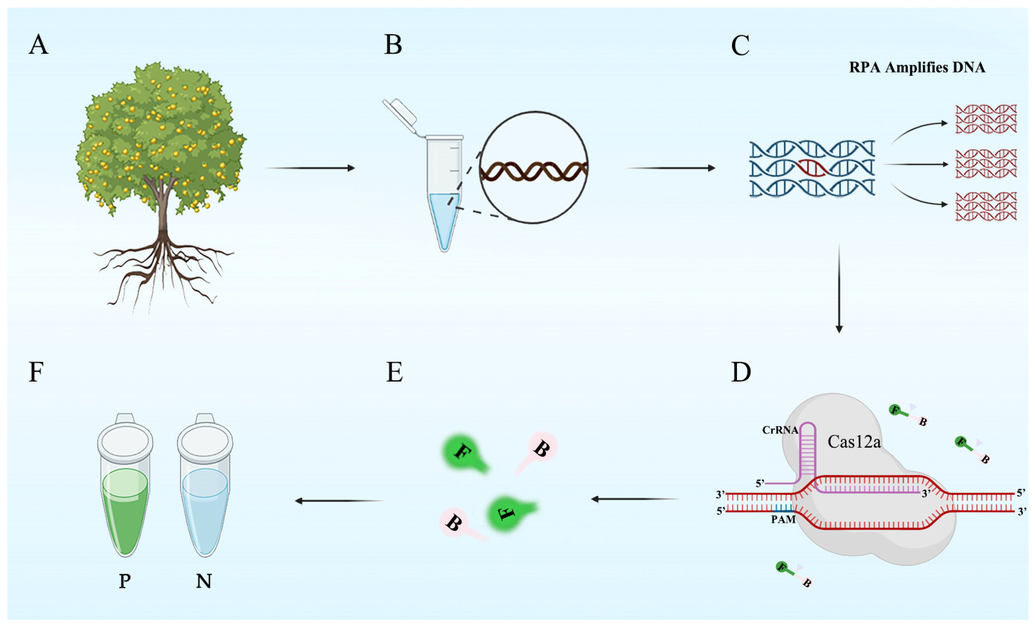 Forests 14 02141 g001