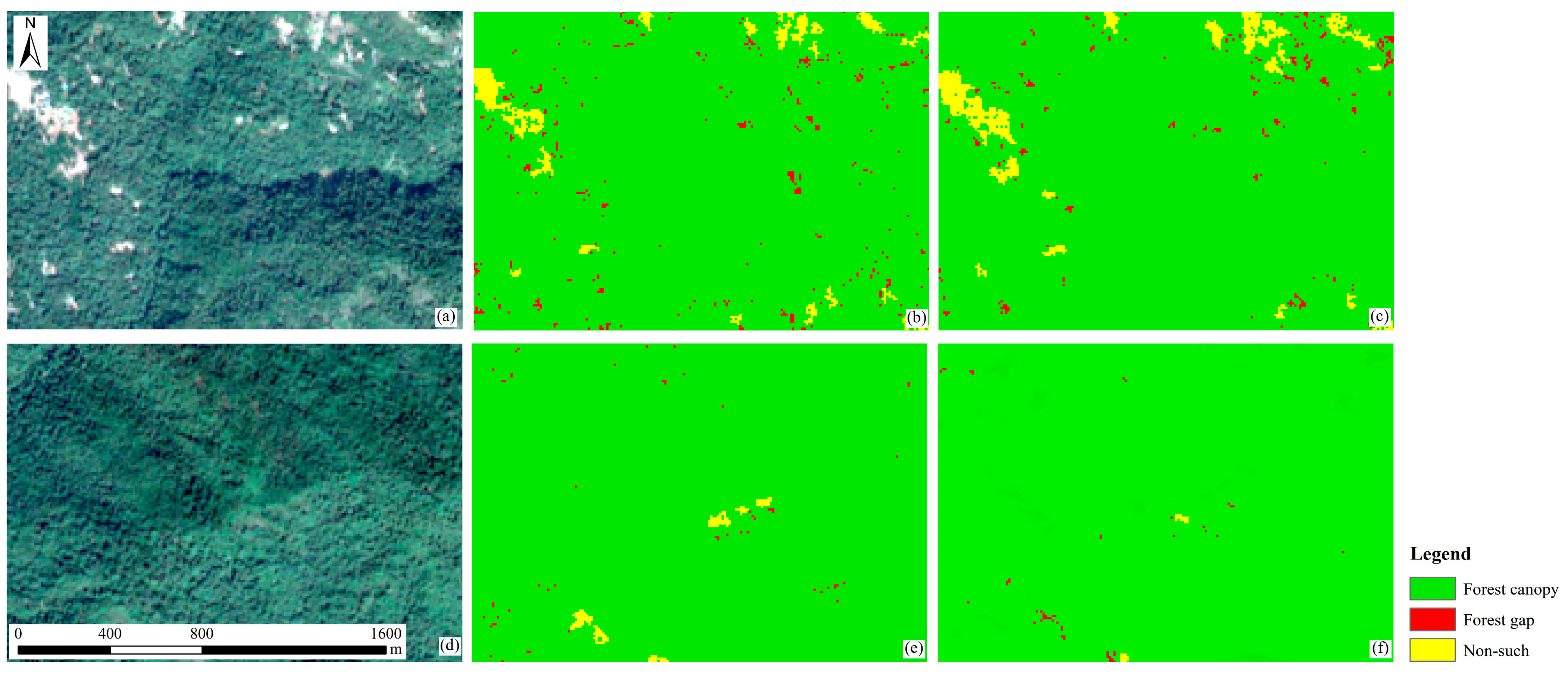 Forests 14 02146 g010