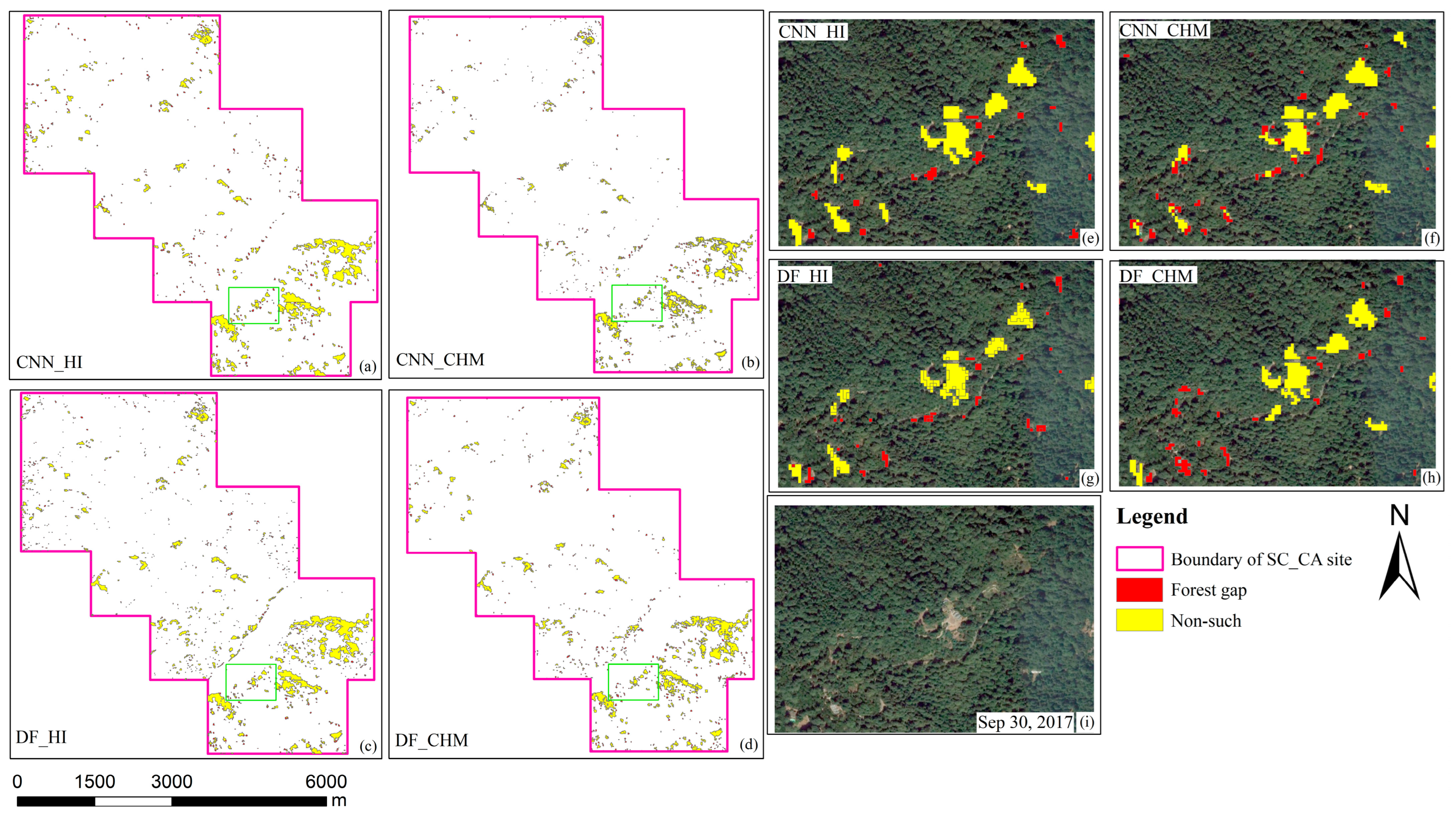 Forests 14 02146 g011