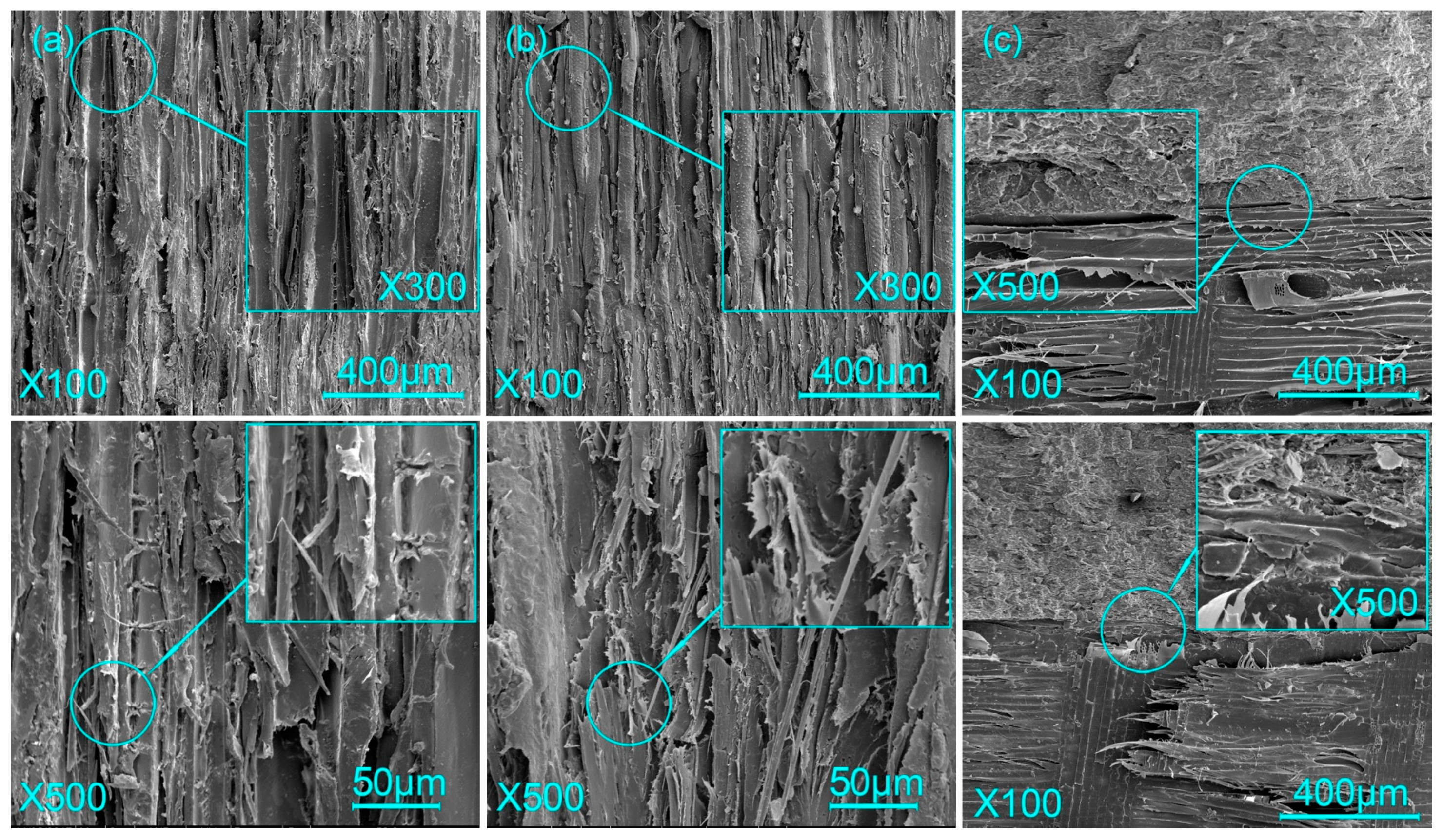 Forests 14 02147 g007