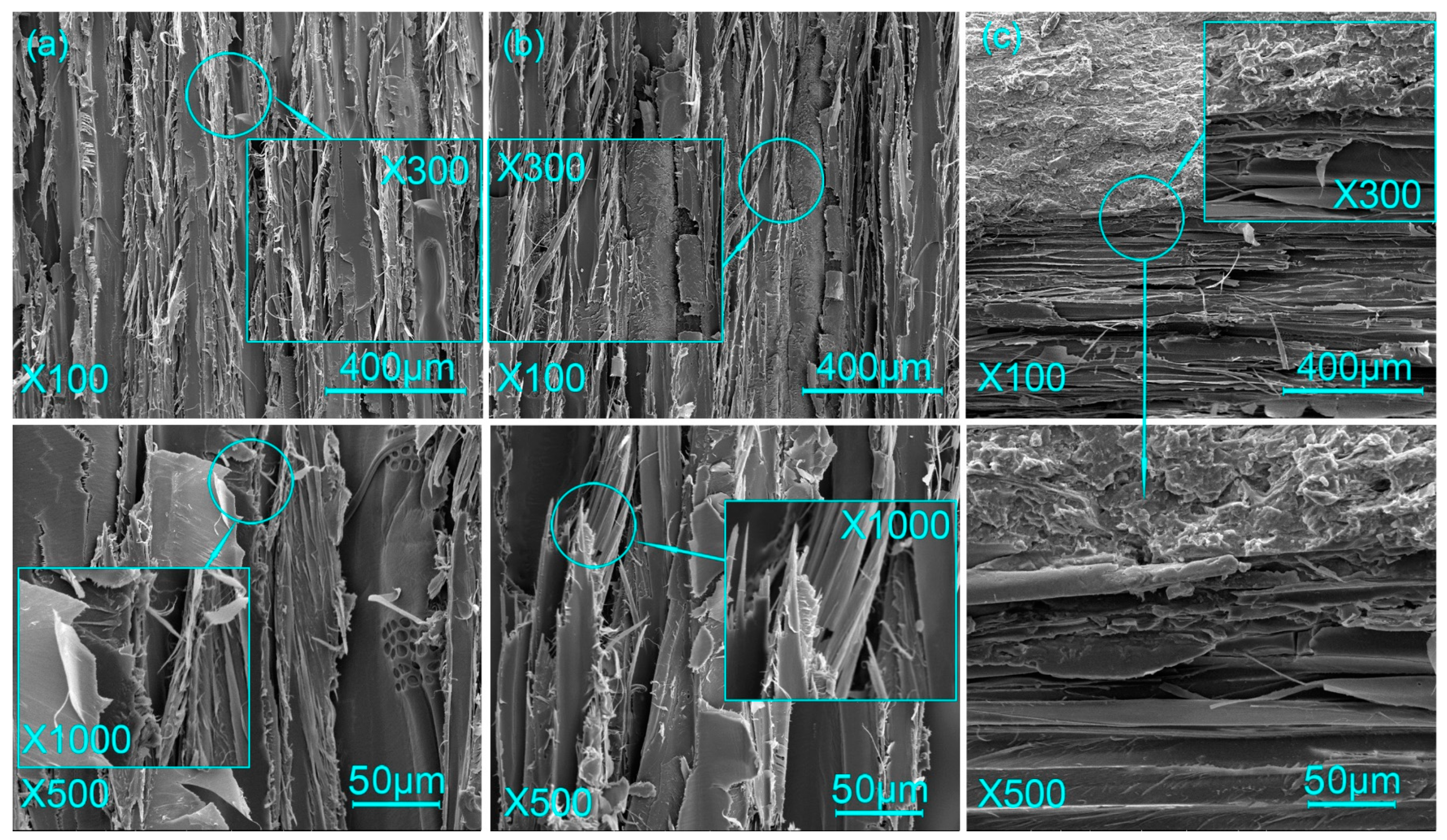 Forests 14 02147 g008