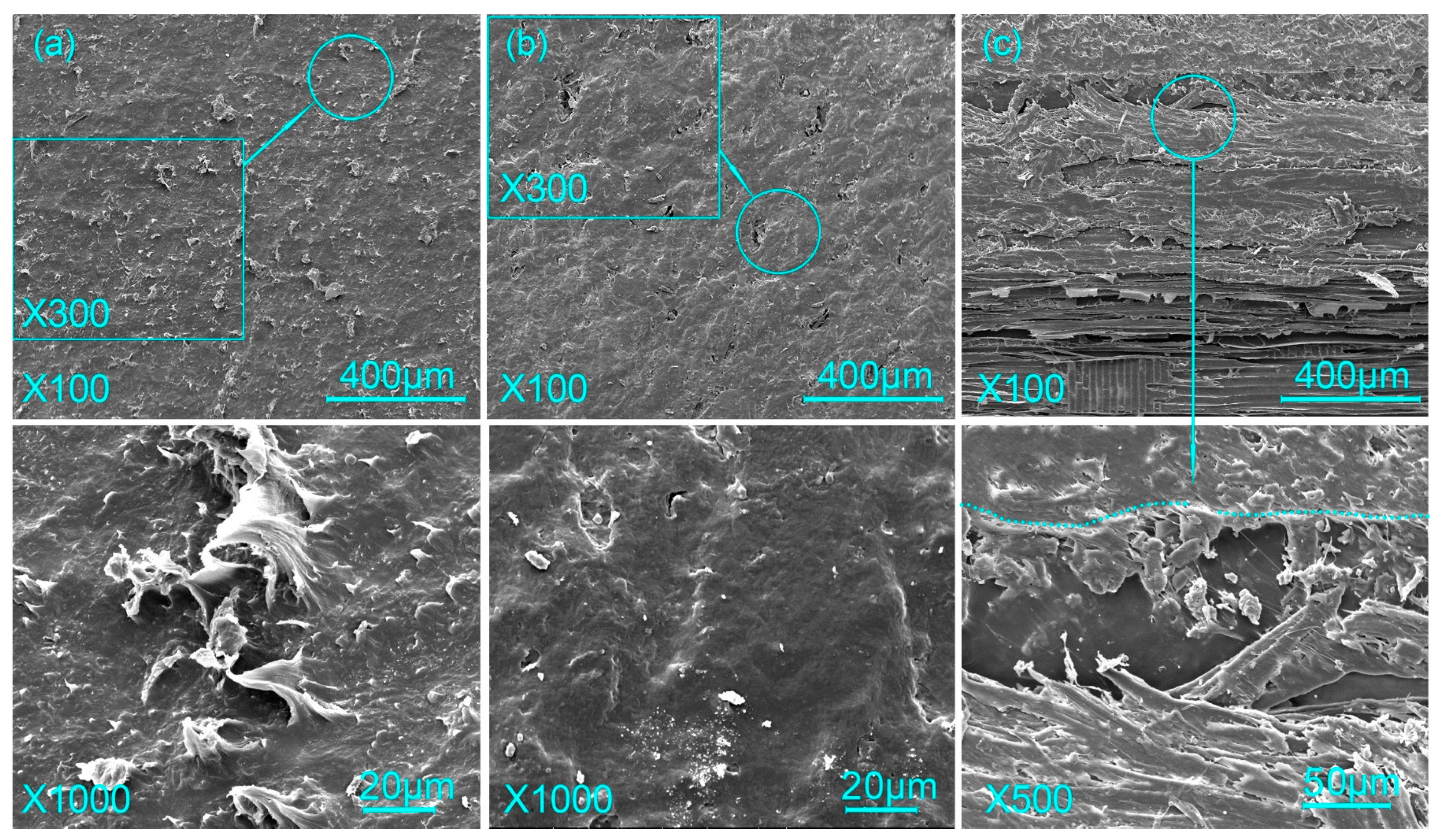 Forests 14 02147 g009