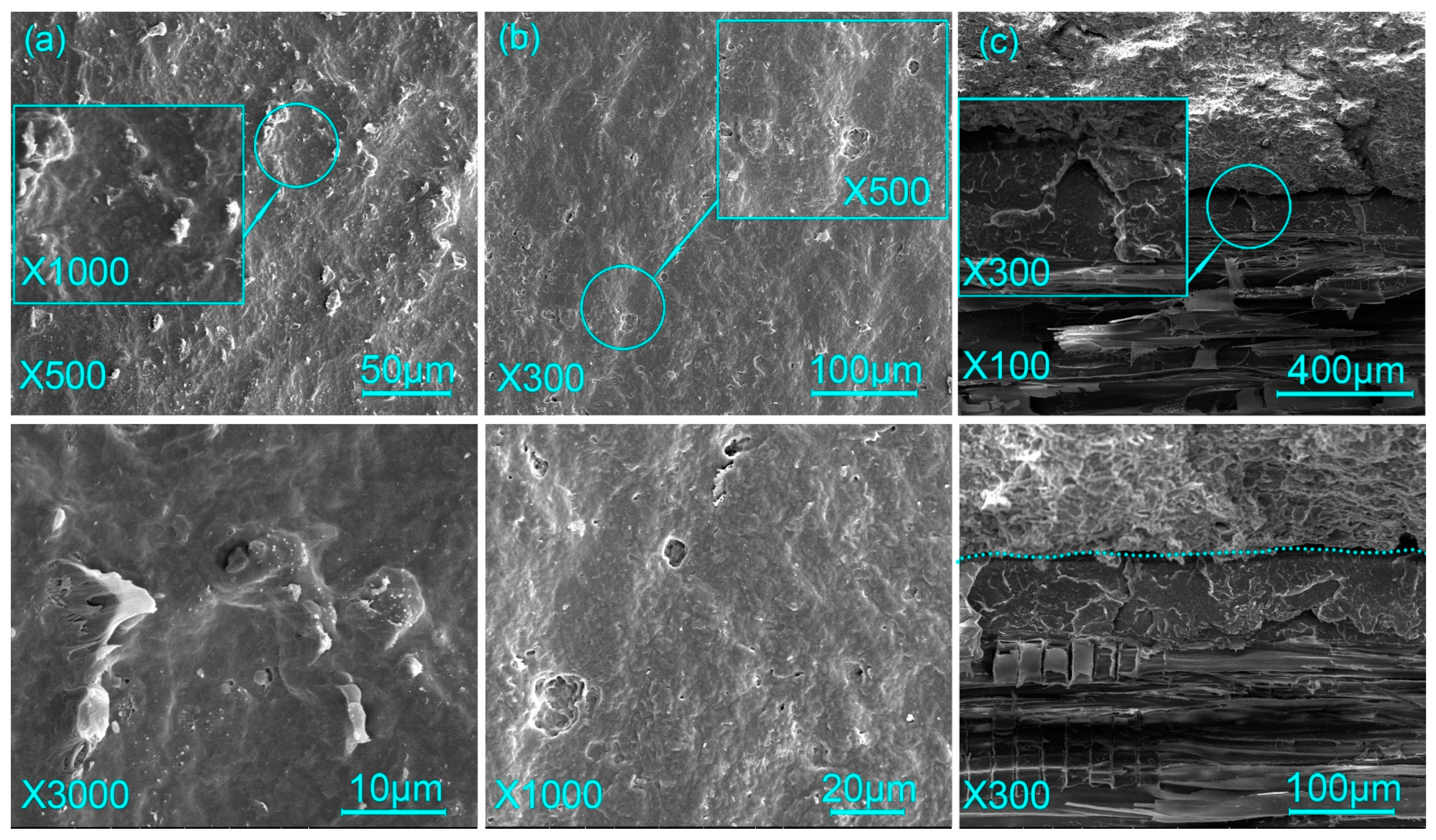 Forests 14 02147 g010