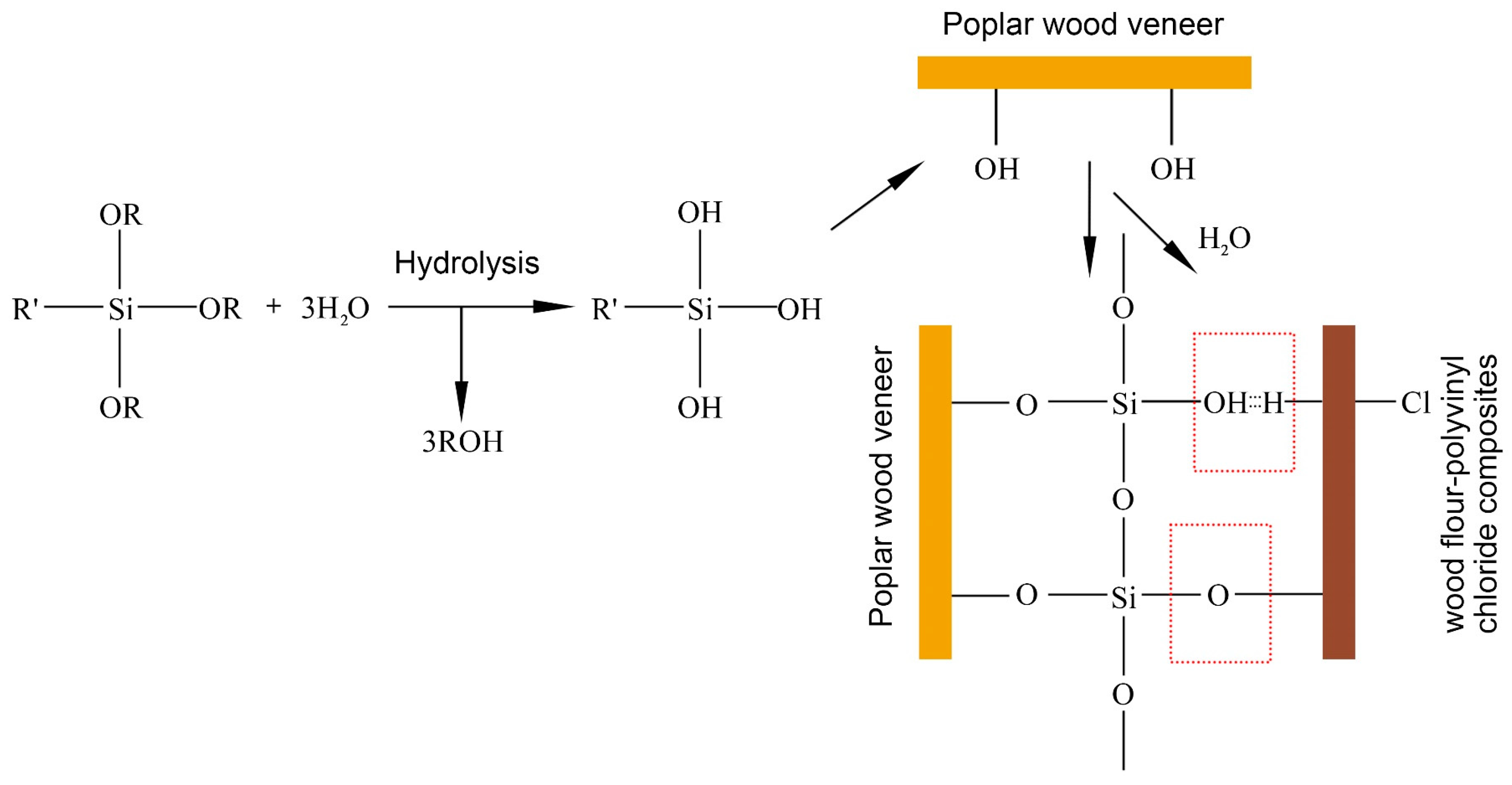 Forests 14 02147 g012