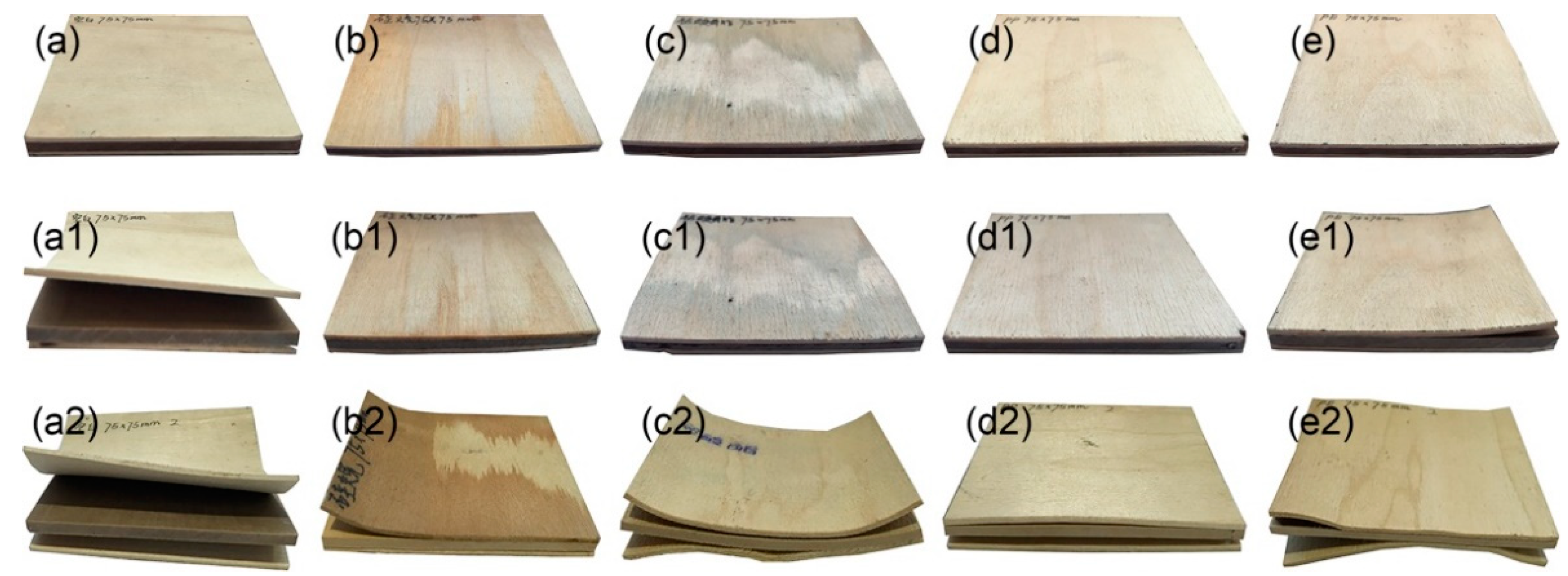 Forests 14 02147 g013