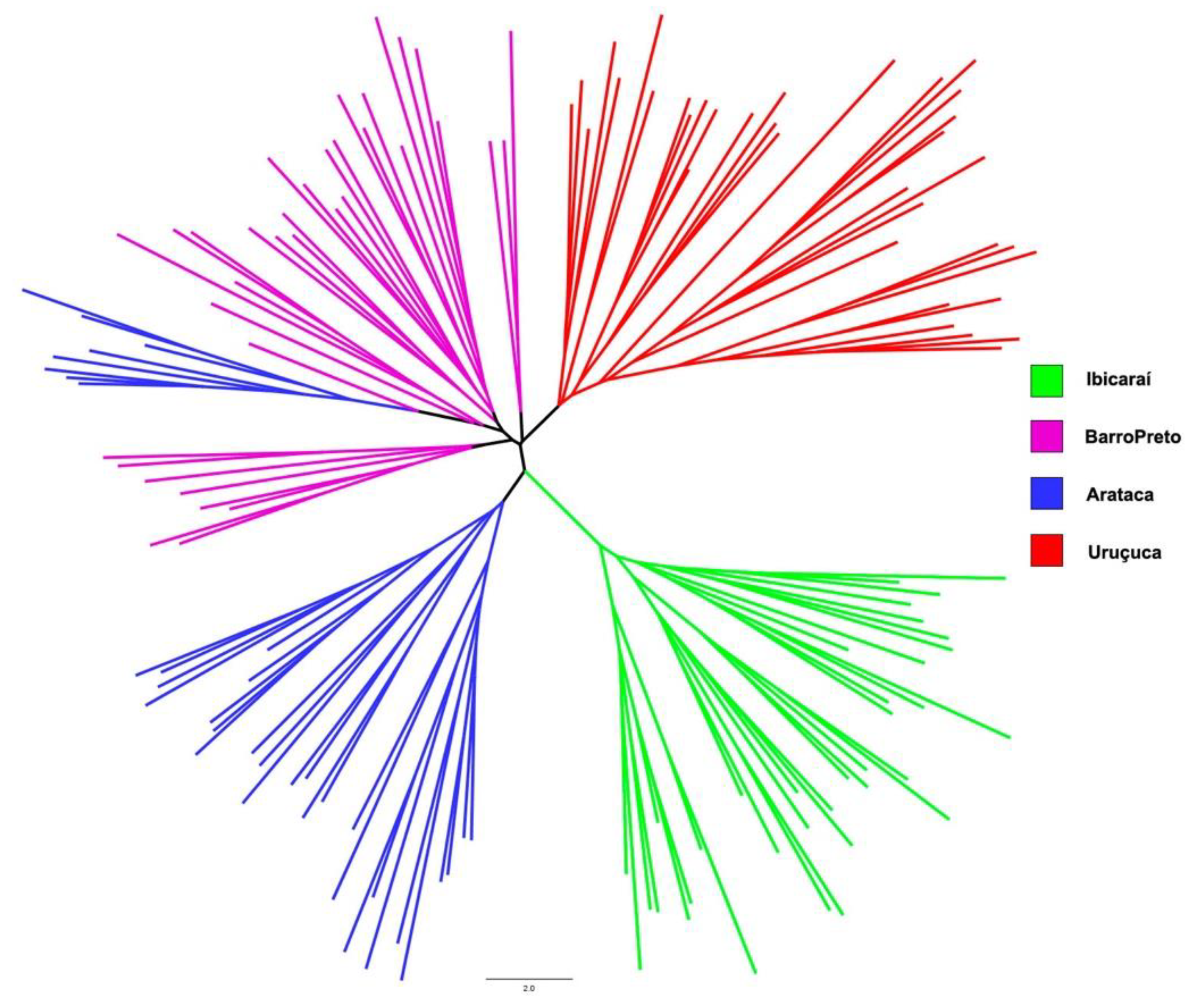 Forests 14 02165 g004