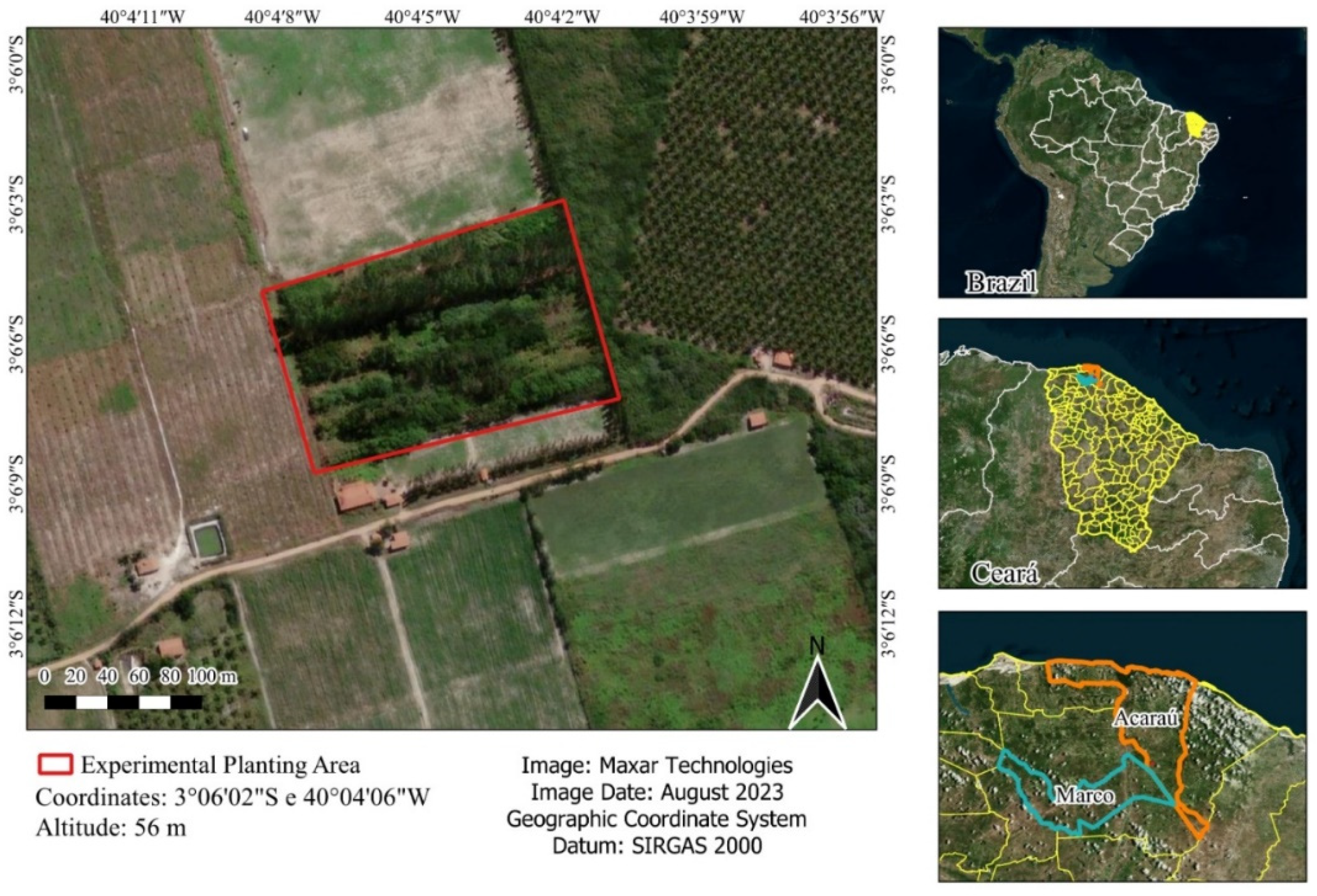 Forests 14 02168 g001 Forests 14 02168 g001