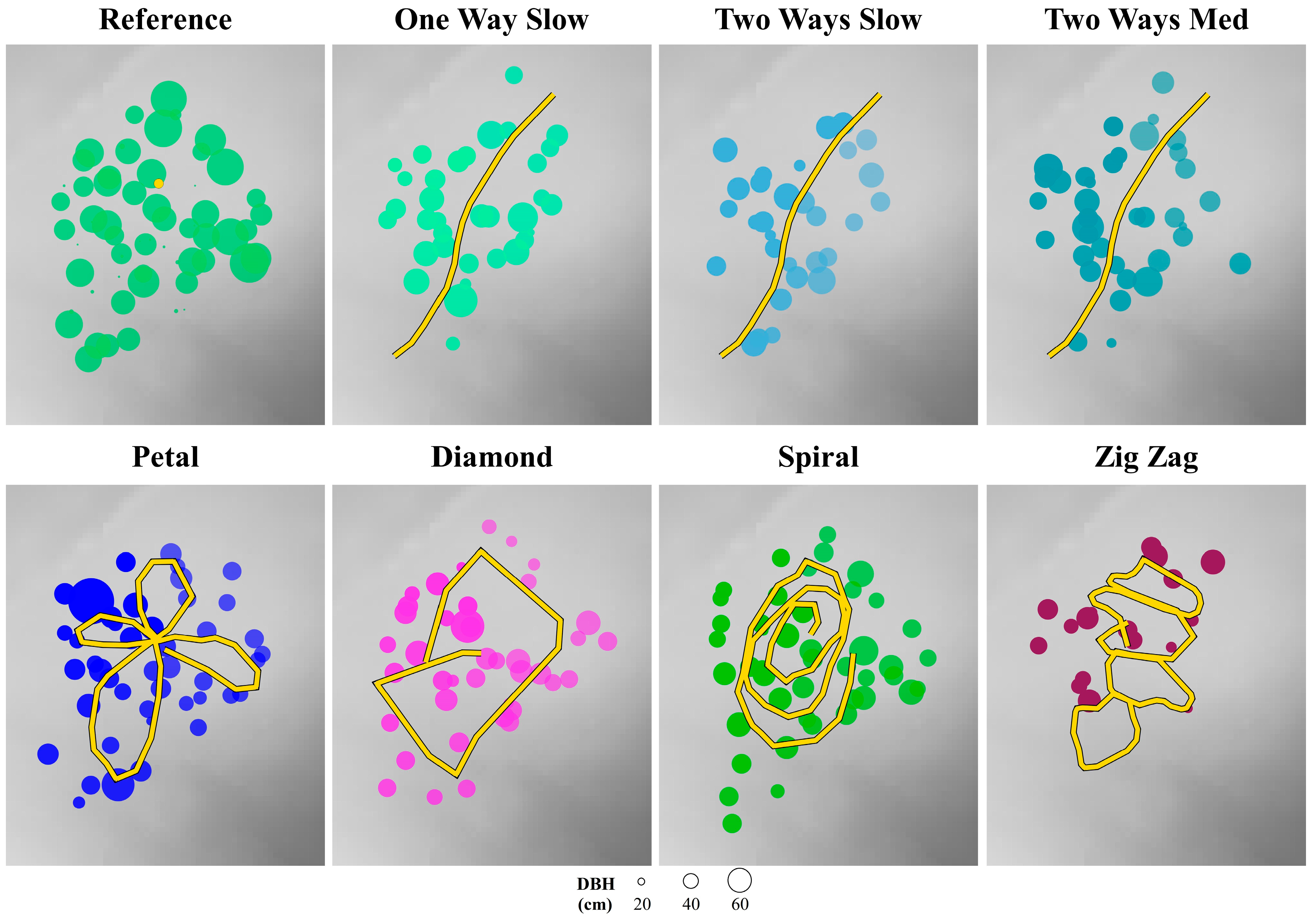 Forests 14 02170 g004