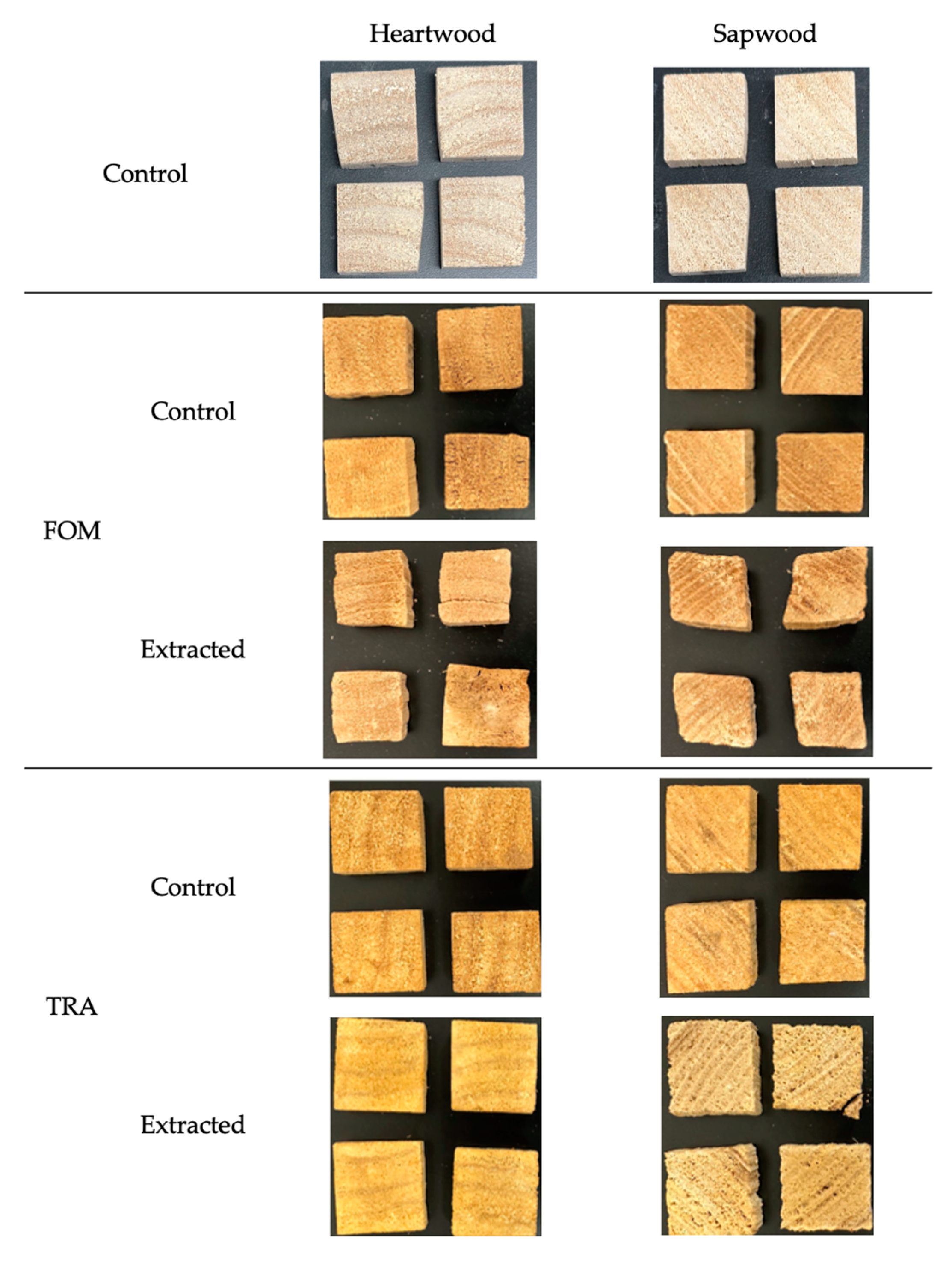 Forests 14 02171 g001