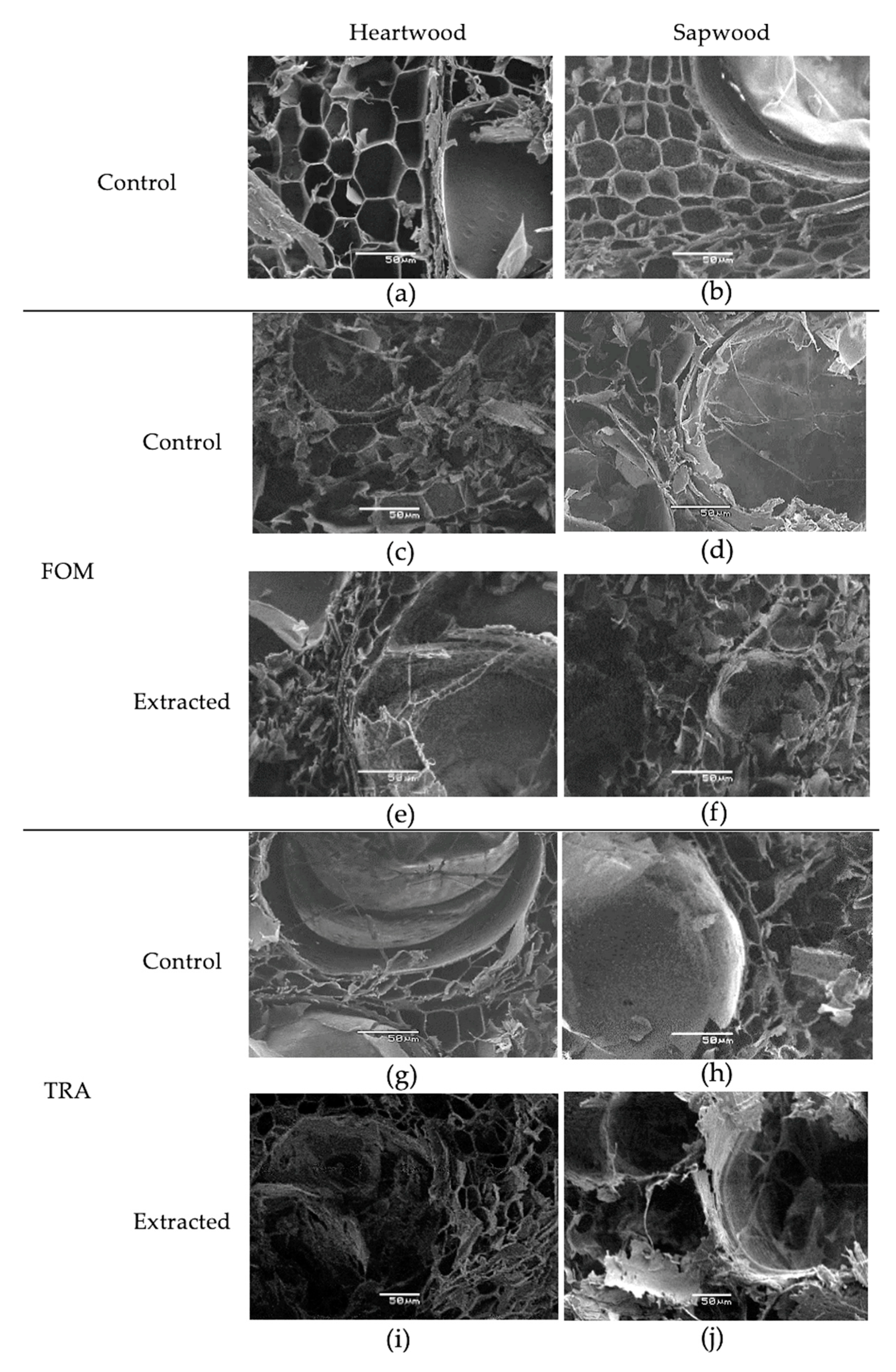 Forests 14 02171 g002