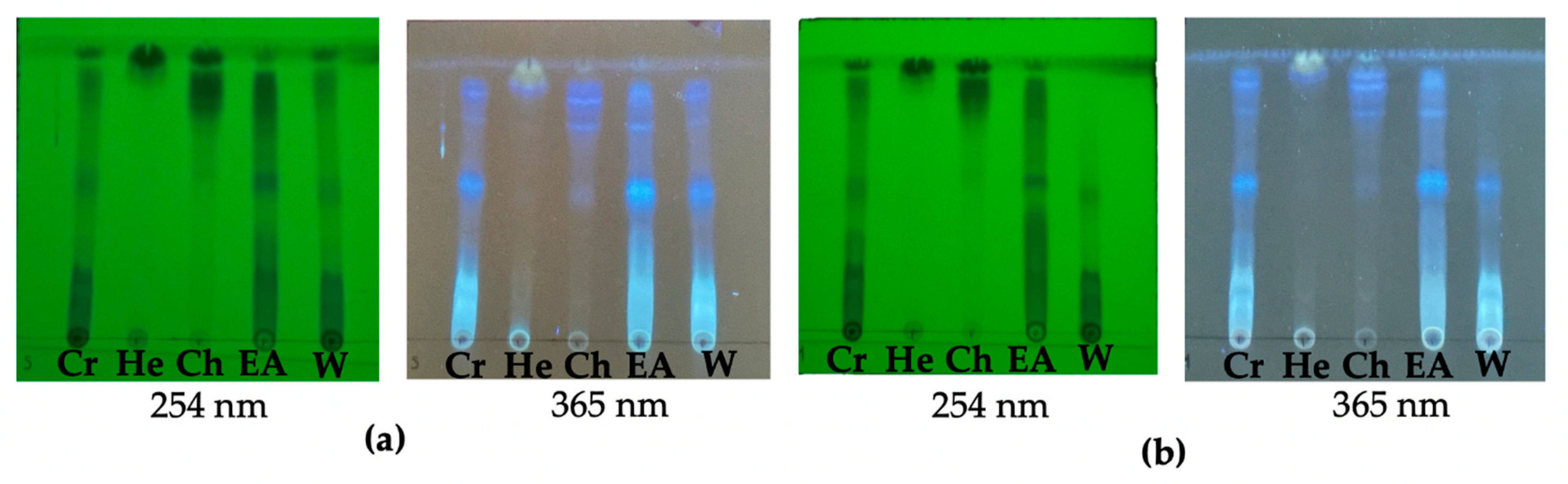 Forests 14 02171 g006