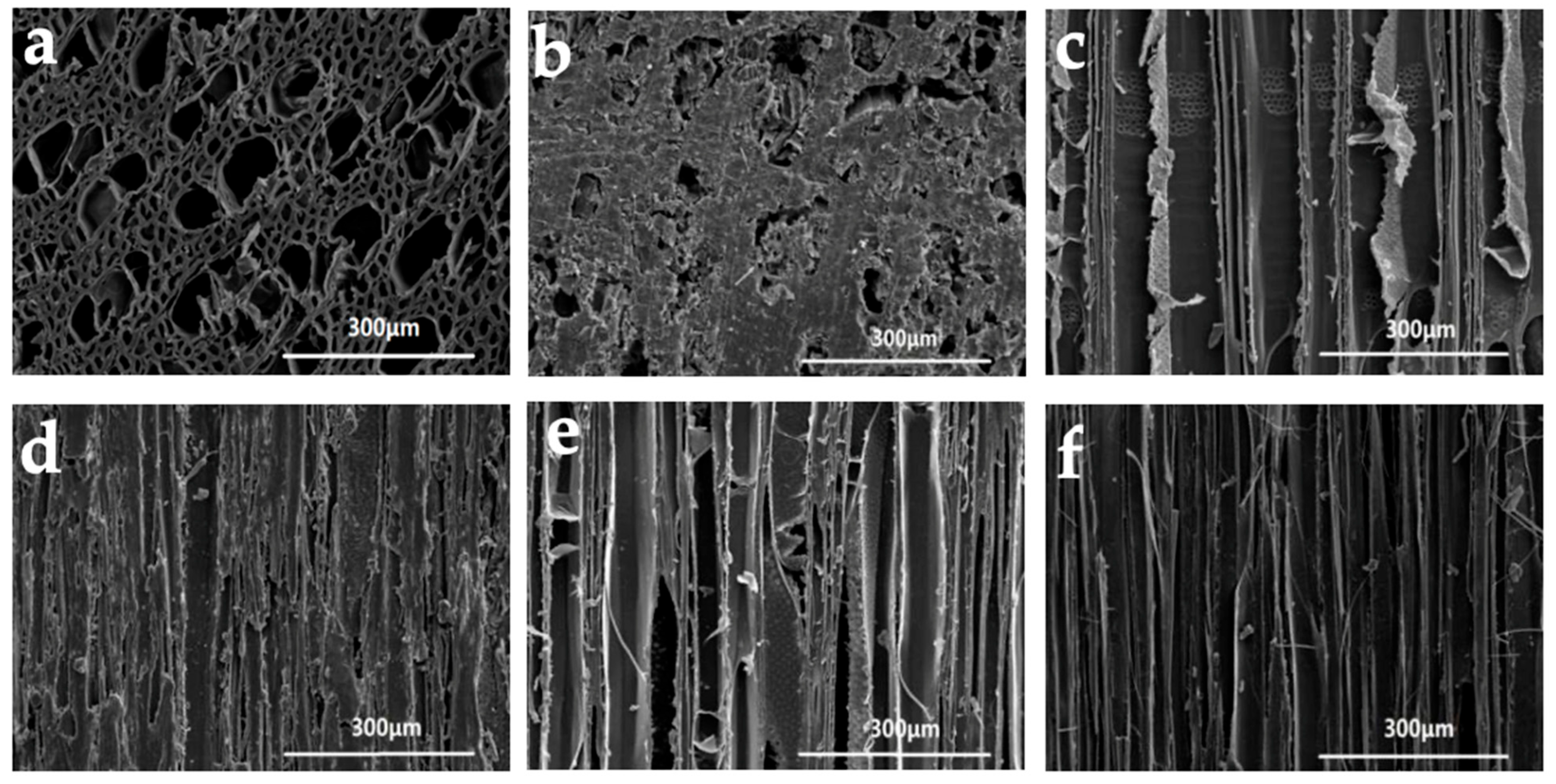 Forests 14 02176 g011 Forests 14 02176 g011