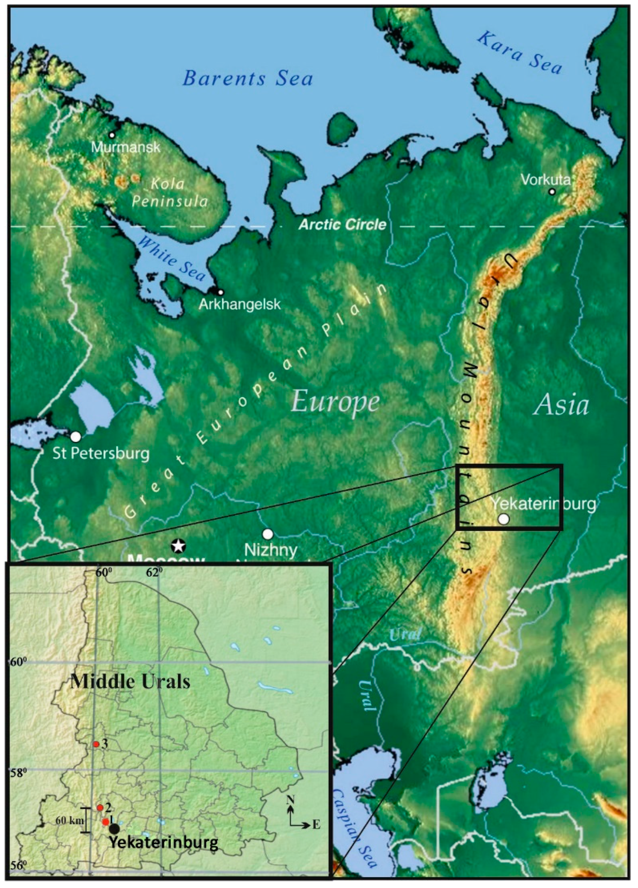 Forests 14 02178 g001