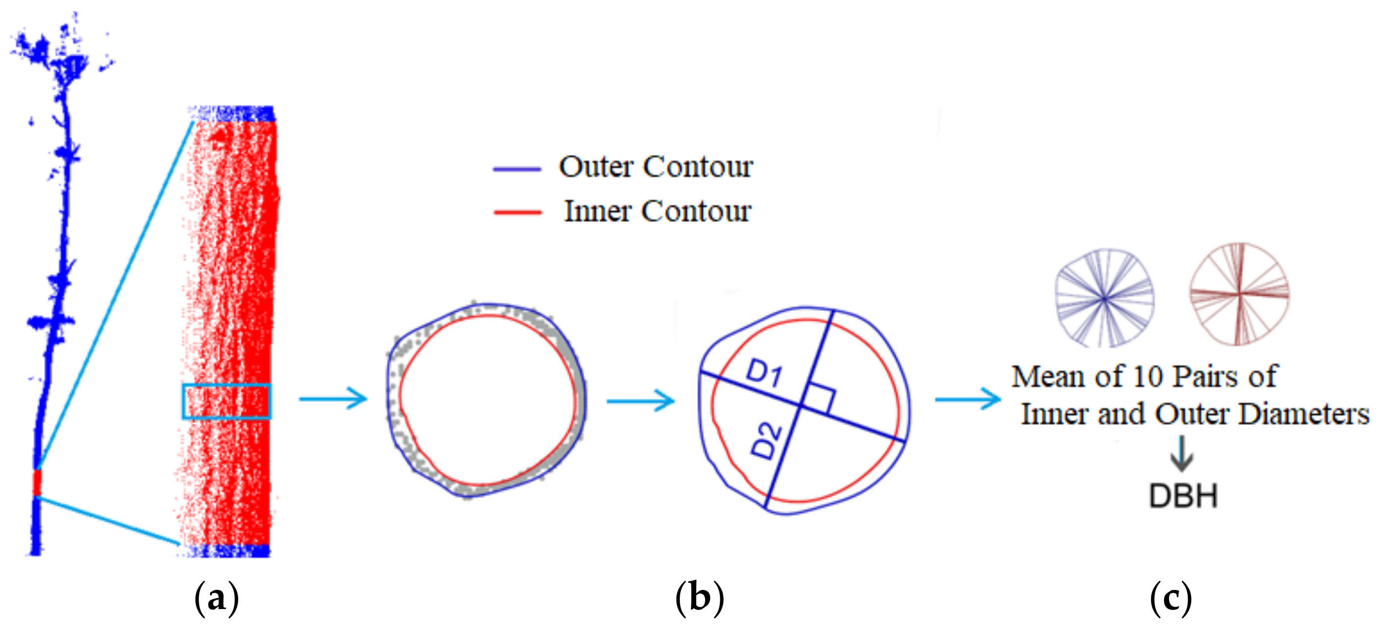 Forests 14 02179 g011